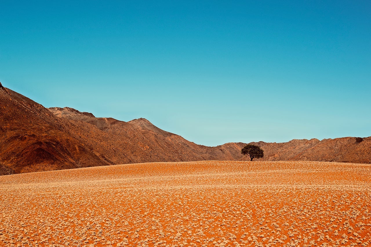 Photo by Patrick Neill via Unsplash.