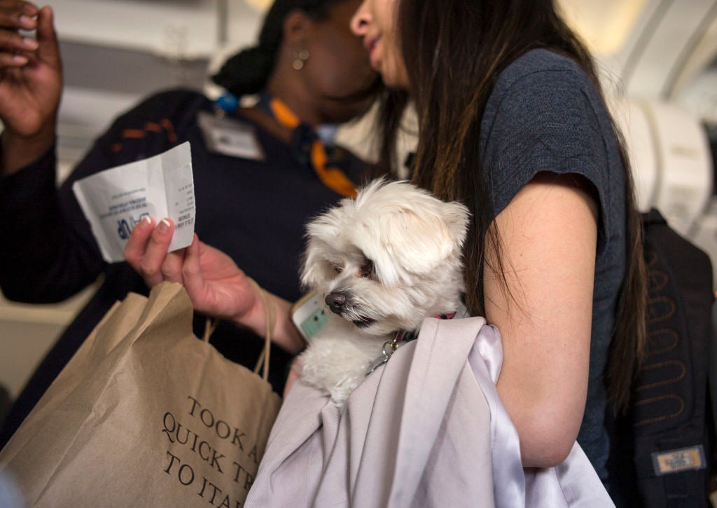 NEW YORK, NY - MAY 14: A woman carrying a dog asks a JetBlue Airline flight attendant about her seat location May 14, 2017 at there John F. Kennedy Airport in the Queens borough of New York City. Headquartered in Long Island City, New York, JetBlue Airlines is the six-largest airline in the U.S. (Photo by Robert Nickelsberg/Getty Images)