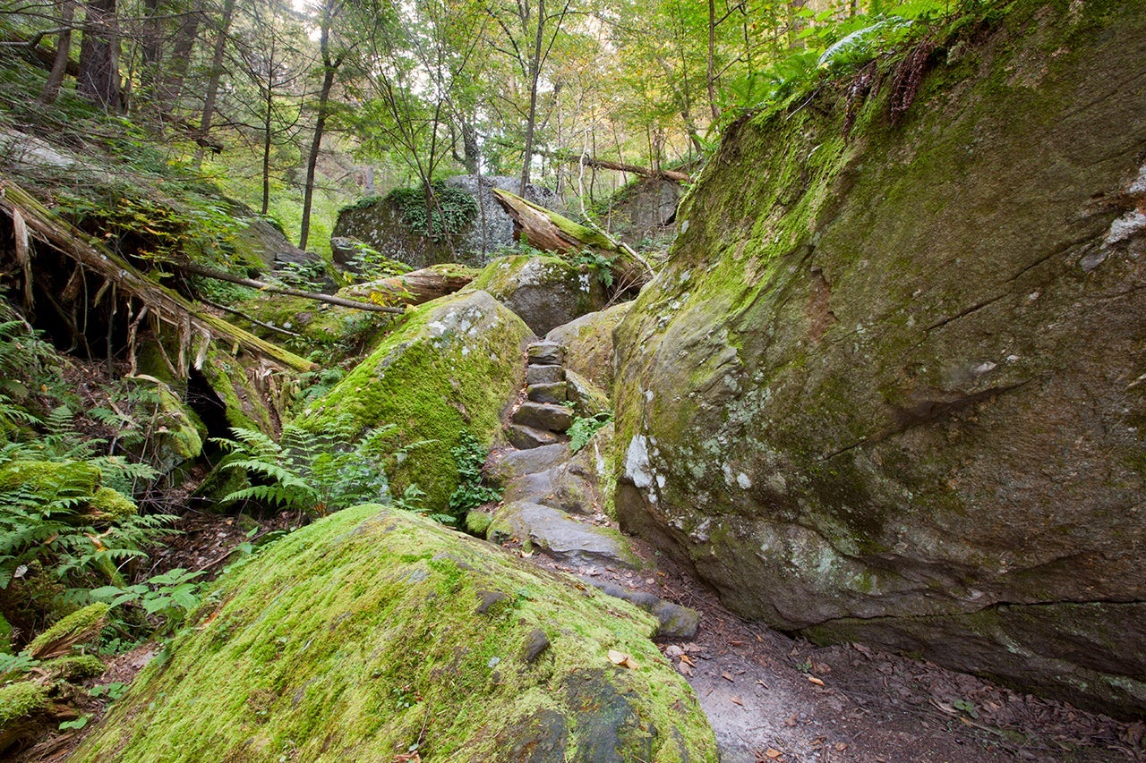 A view of the Ice Glen in Stockbridge, Massachusetts. (Photo by jdwfoto / Getty Images)