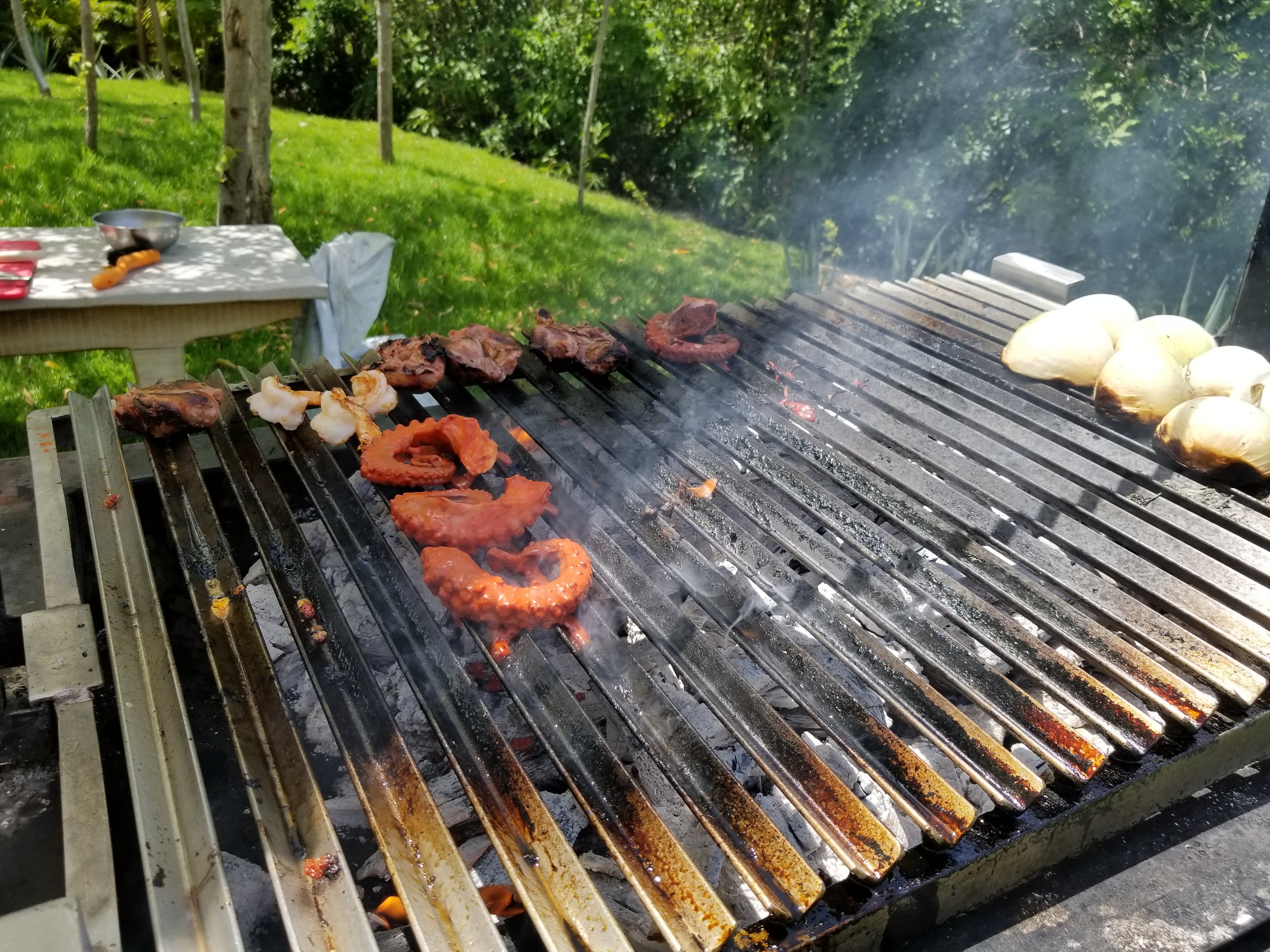 Grilled Steak & Octopus