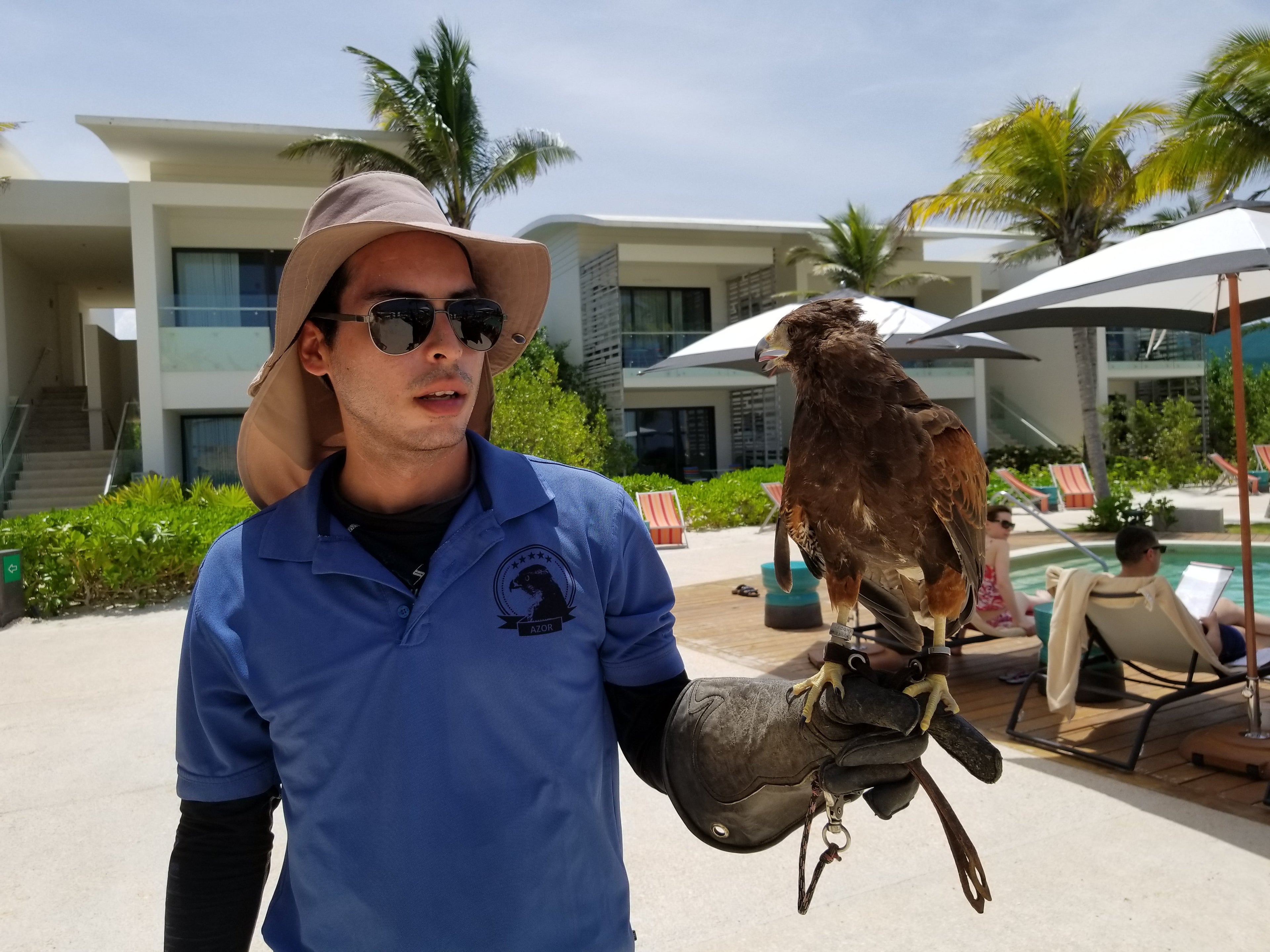 Hawk and Handler