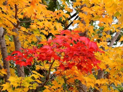 dscn0160
