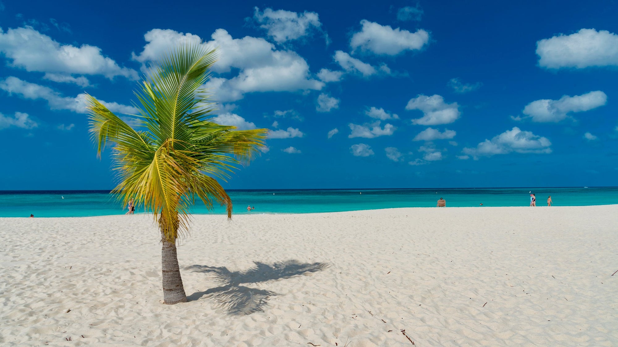 caribbean island Aruba