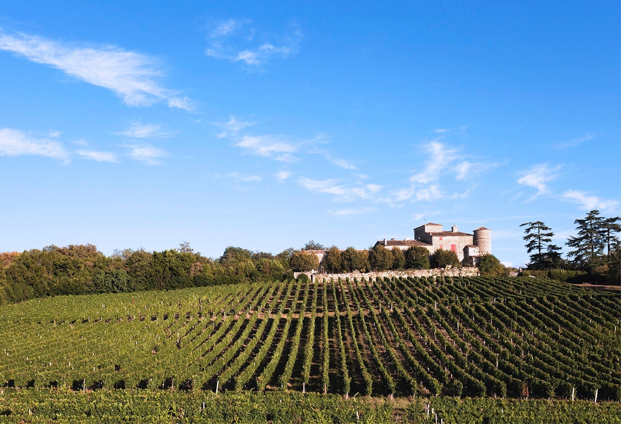 View of vineyards and Chateau Lacaussade, Bordeaux, France. (Photo by Westend61/Getty Images)
