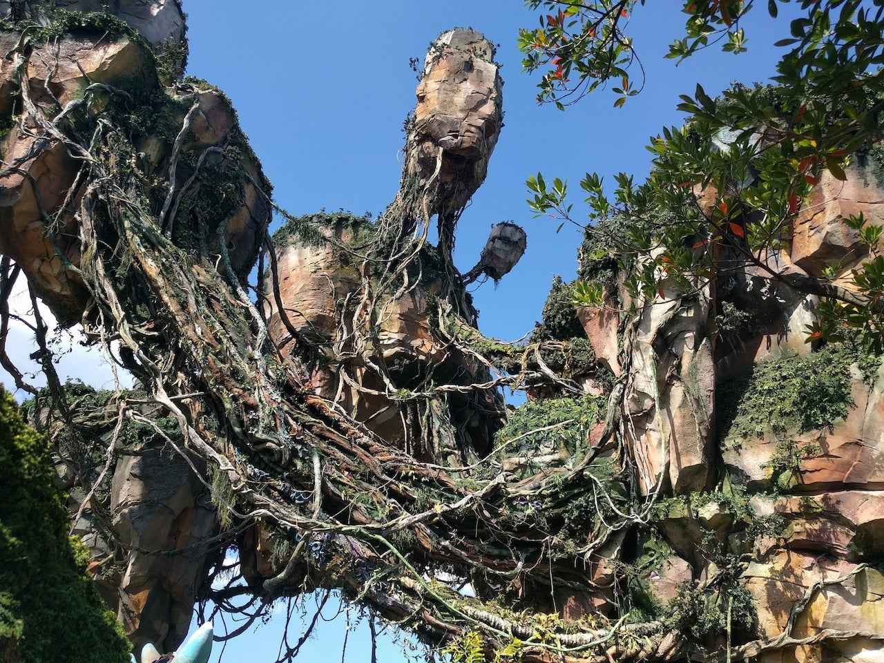 Avatar Flight of Passage. (Photo by elisfkc/Flickr)