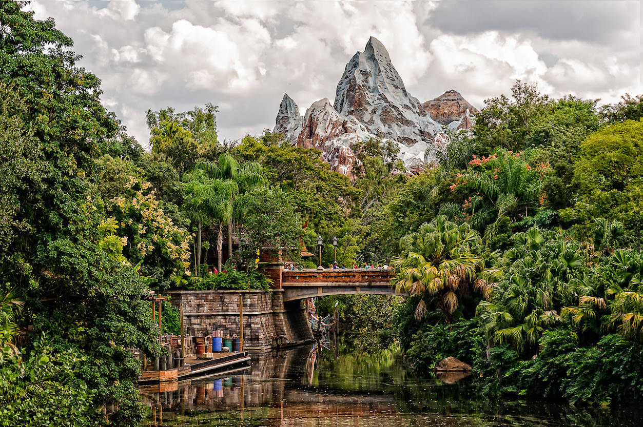 Expedition Everest in Walt Disney World. Photo by Mike Christoferson/Flickr