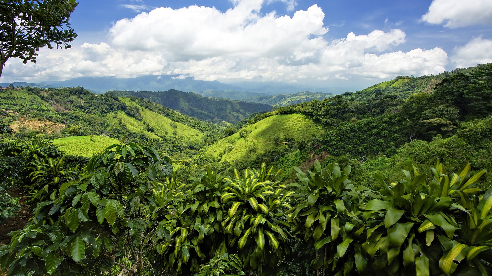 Costa Rica