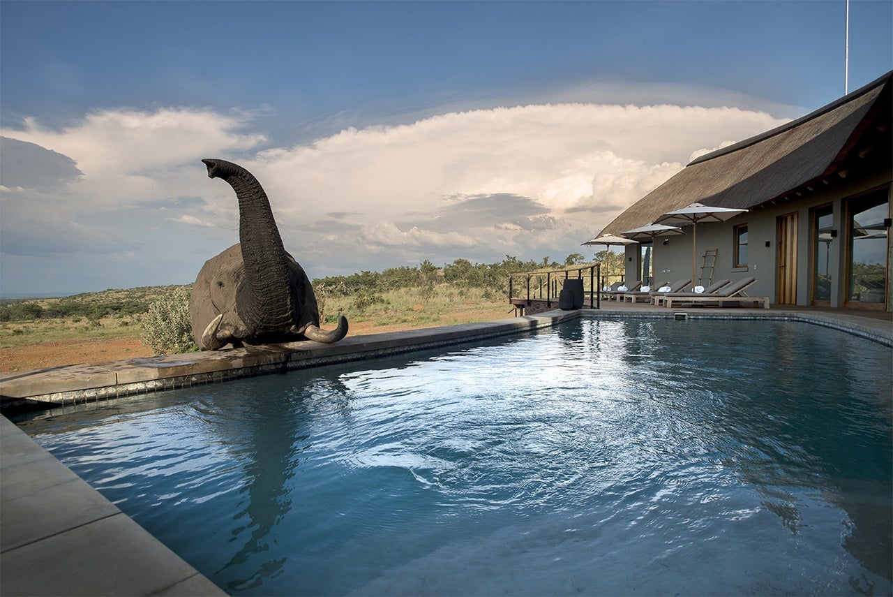 Photo courtesy of Mhondoro Safari Lodge and Villa