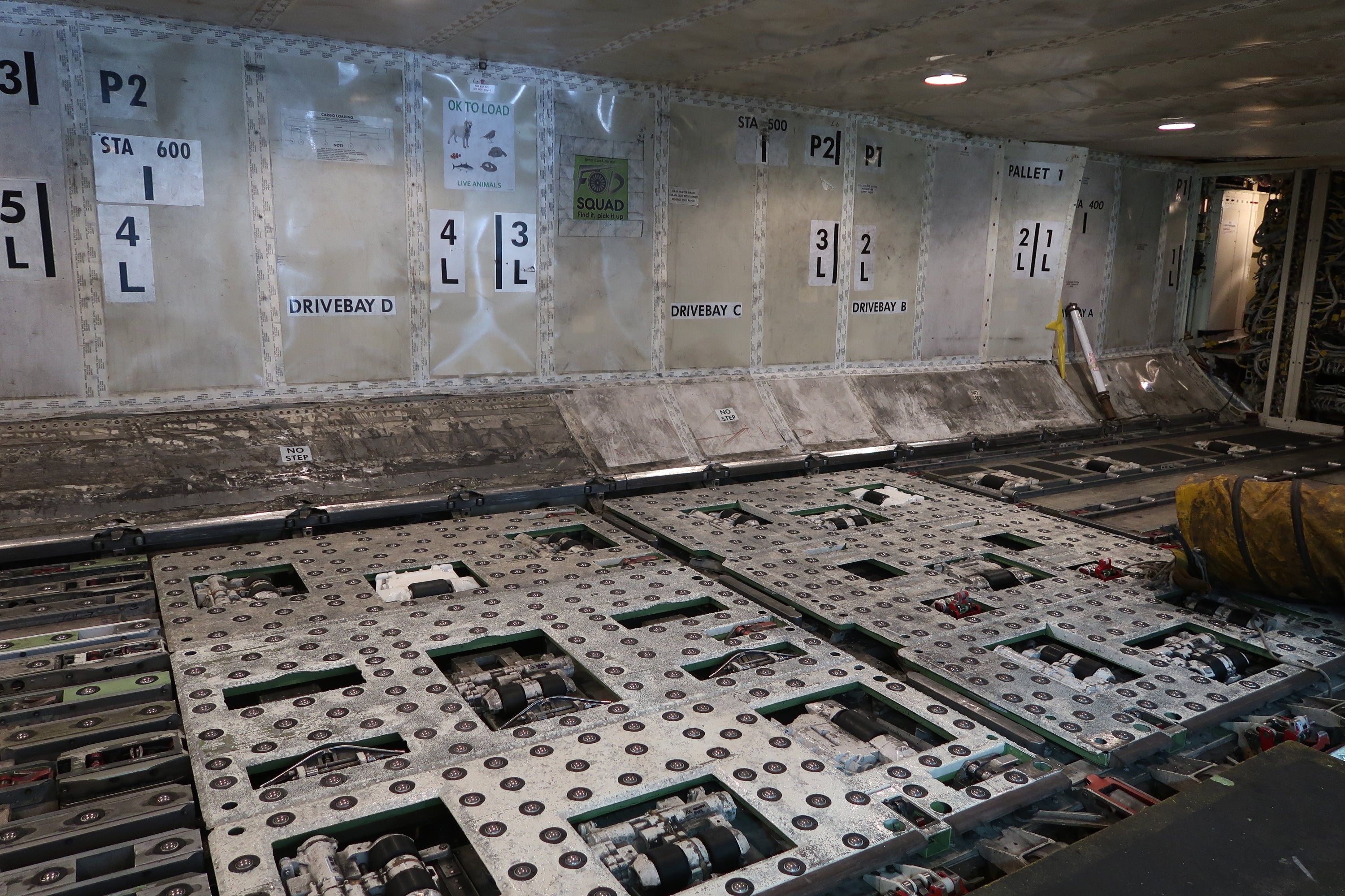 The cargo hold of an airplane (Image by Katie Gente/TPG)