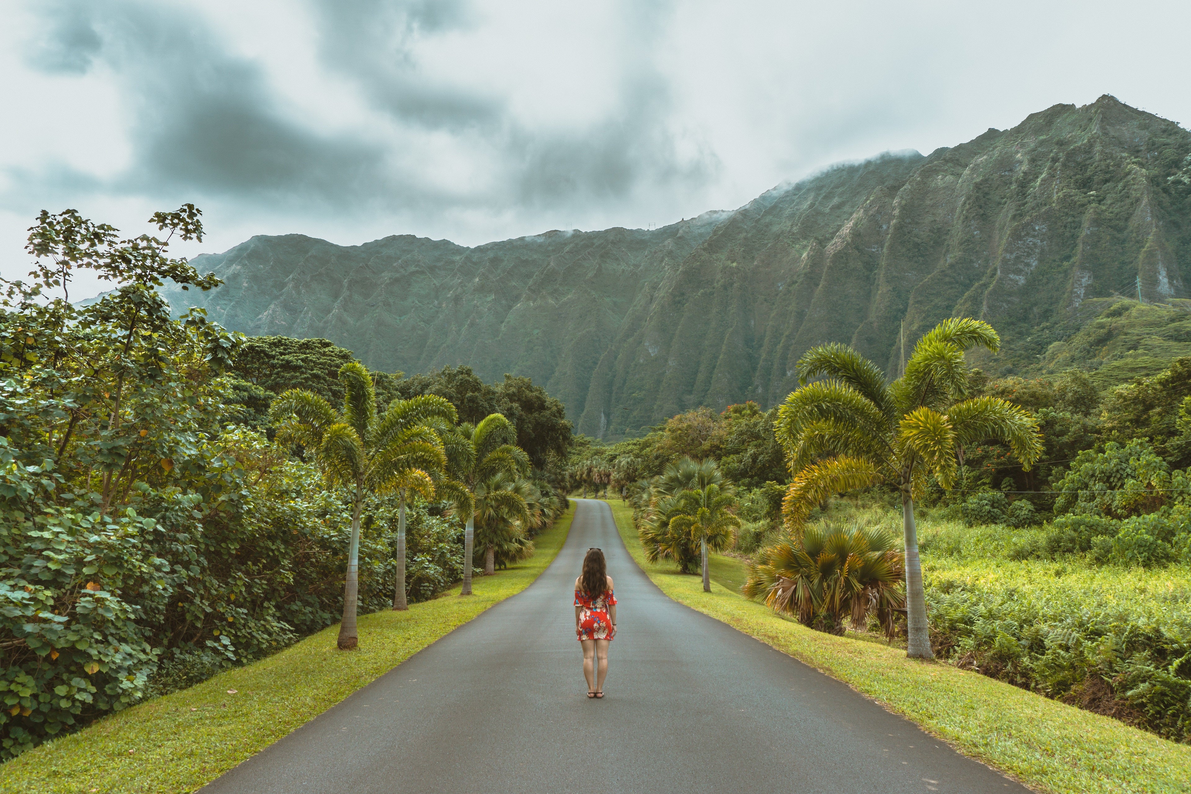 Next time you're in Hawaii, check out Ho'omaluhia Botanical Garden in Kaneohe. (Photo by Wild & Away / Unsplash)