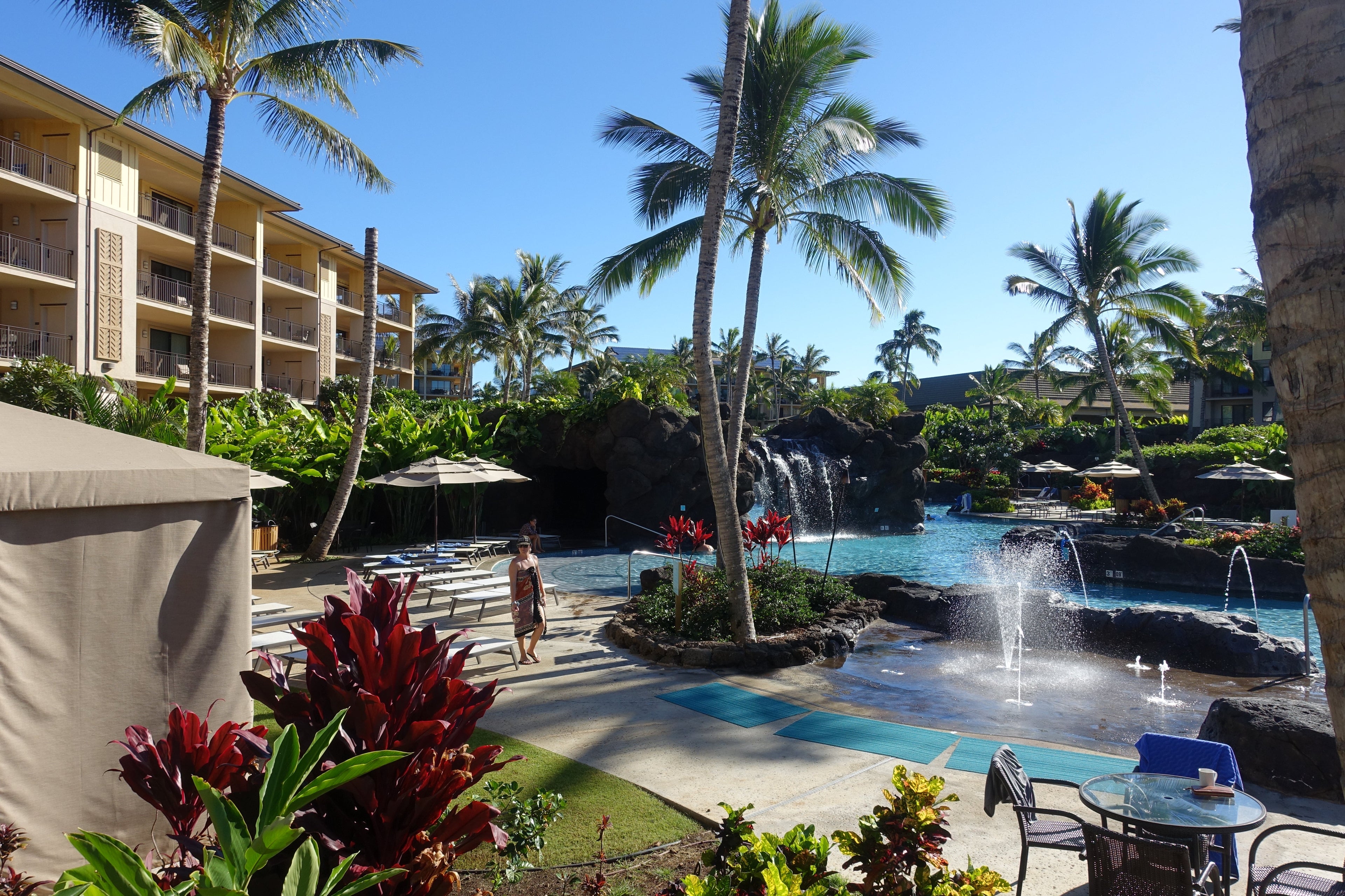 a hotel pool surrounded by palm trees and guest rooms