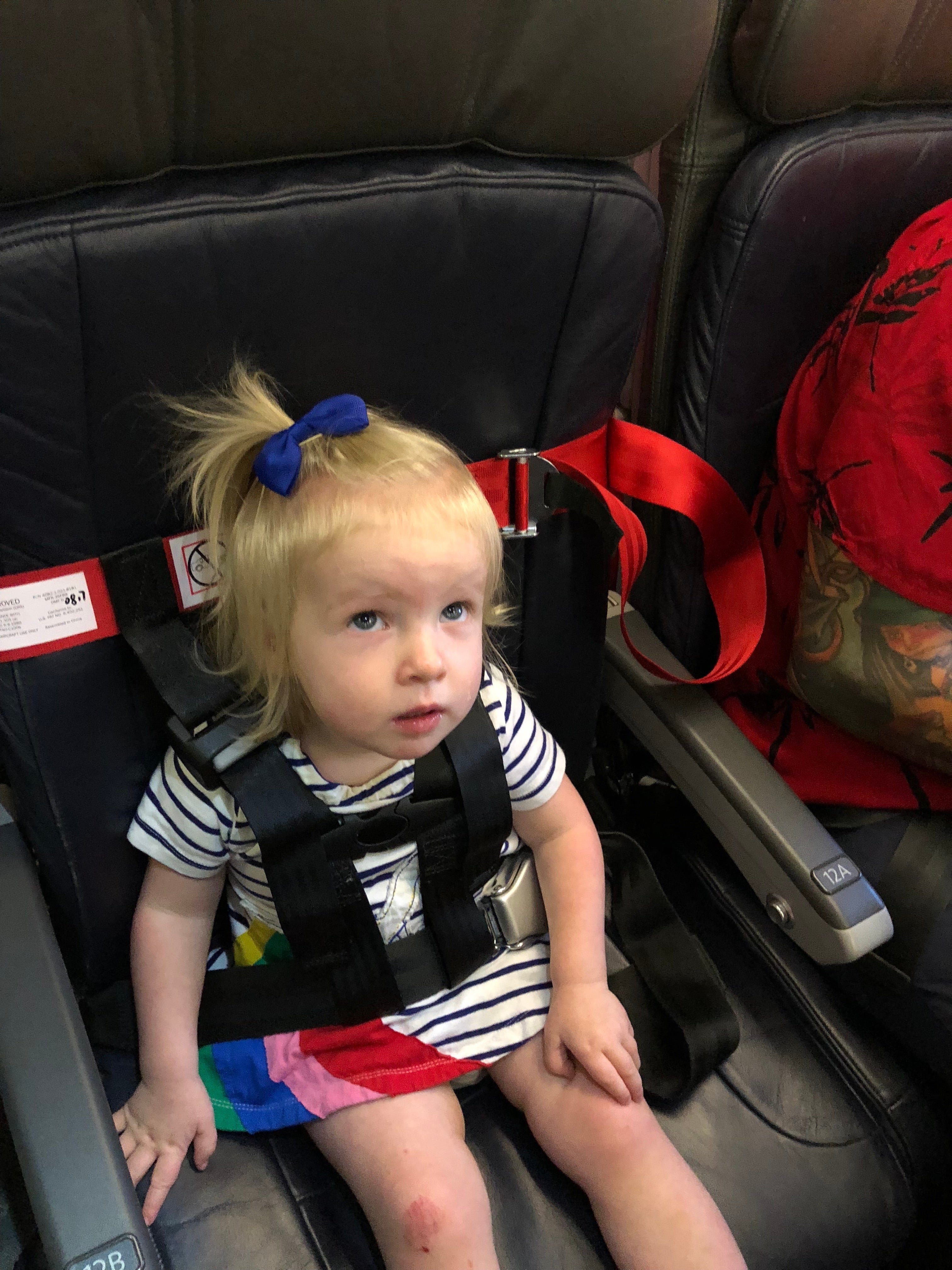 How to Know If the FAA-Approved CARES Harness Is Right for Your