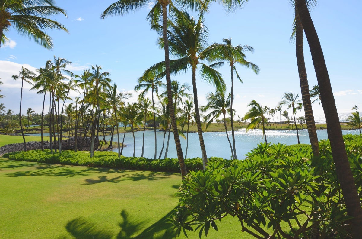 Hawaii Big Island with Kids - Mauna Lani Fishponds