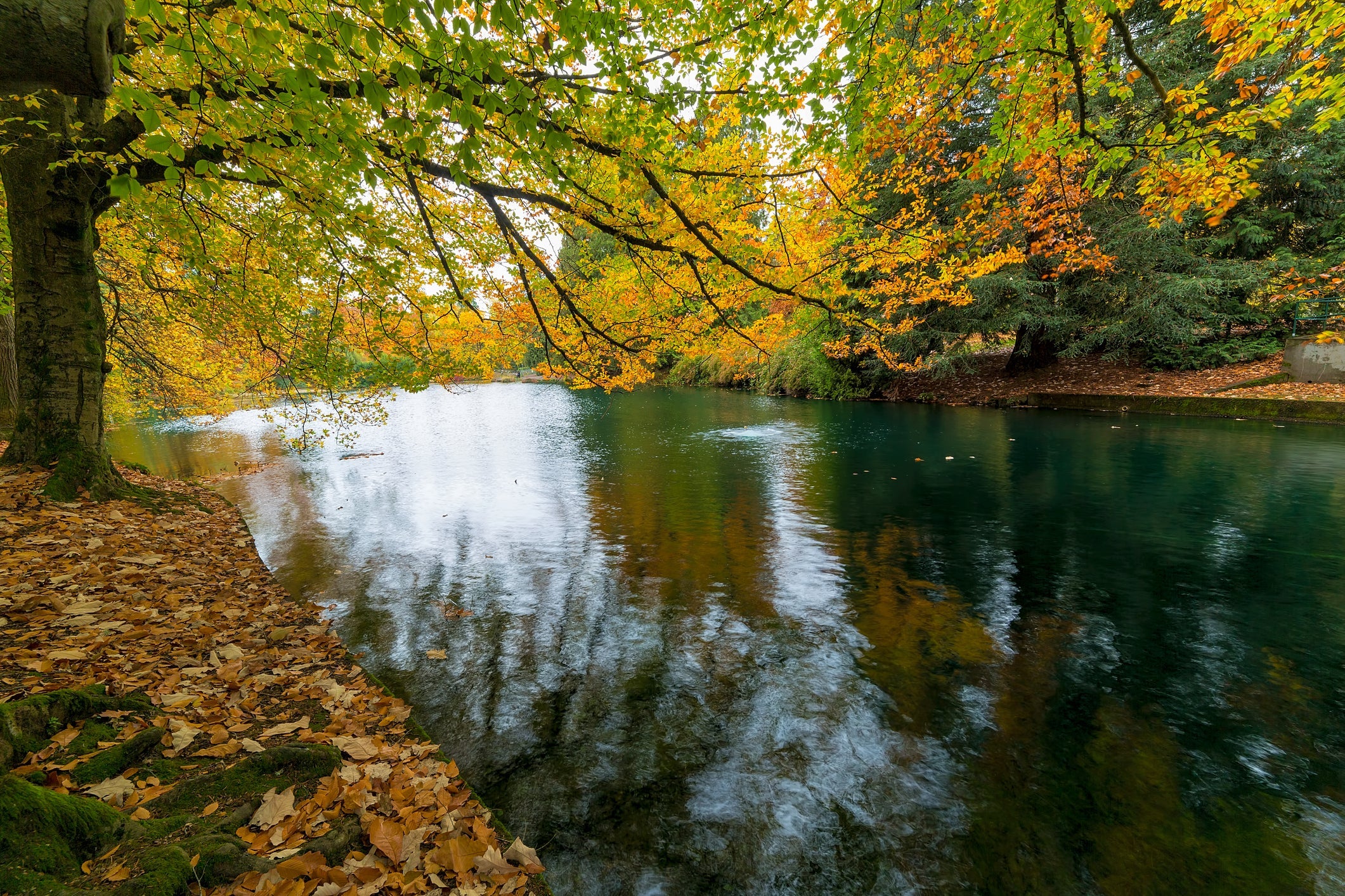 Fall foliage colors at Laurelhurst Park by the lake in Portland Oregon City in Autumn Season Image by Getty Images /