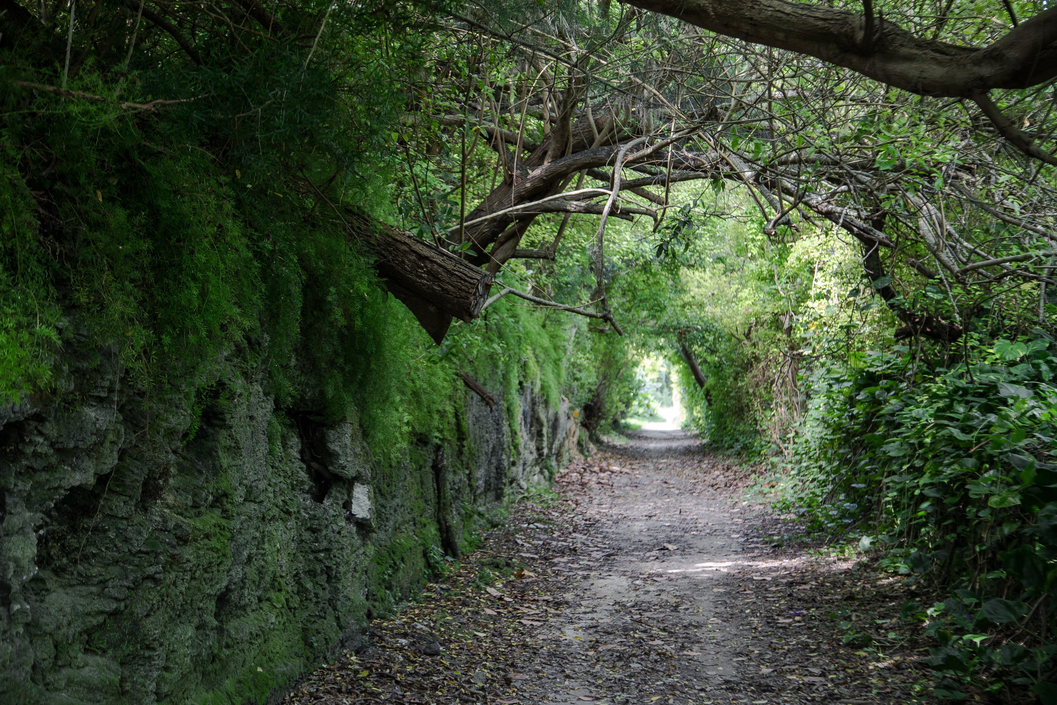 Railway Trail, Bermuda
