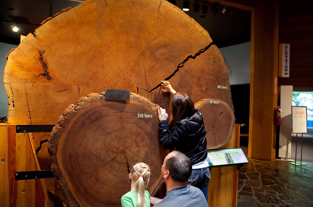 World Forestry Center