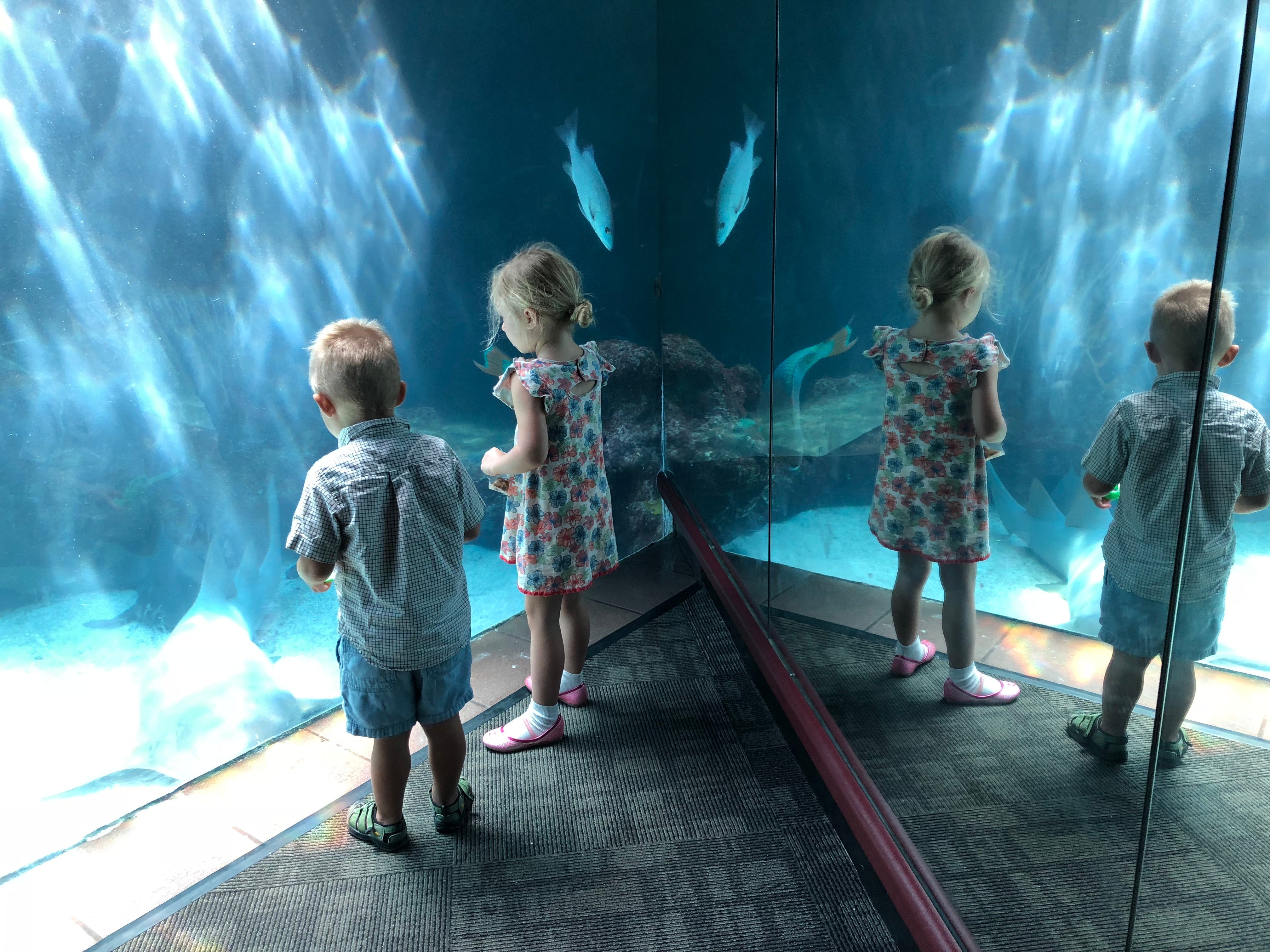 aquarium Bermuda with kids