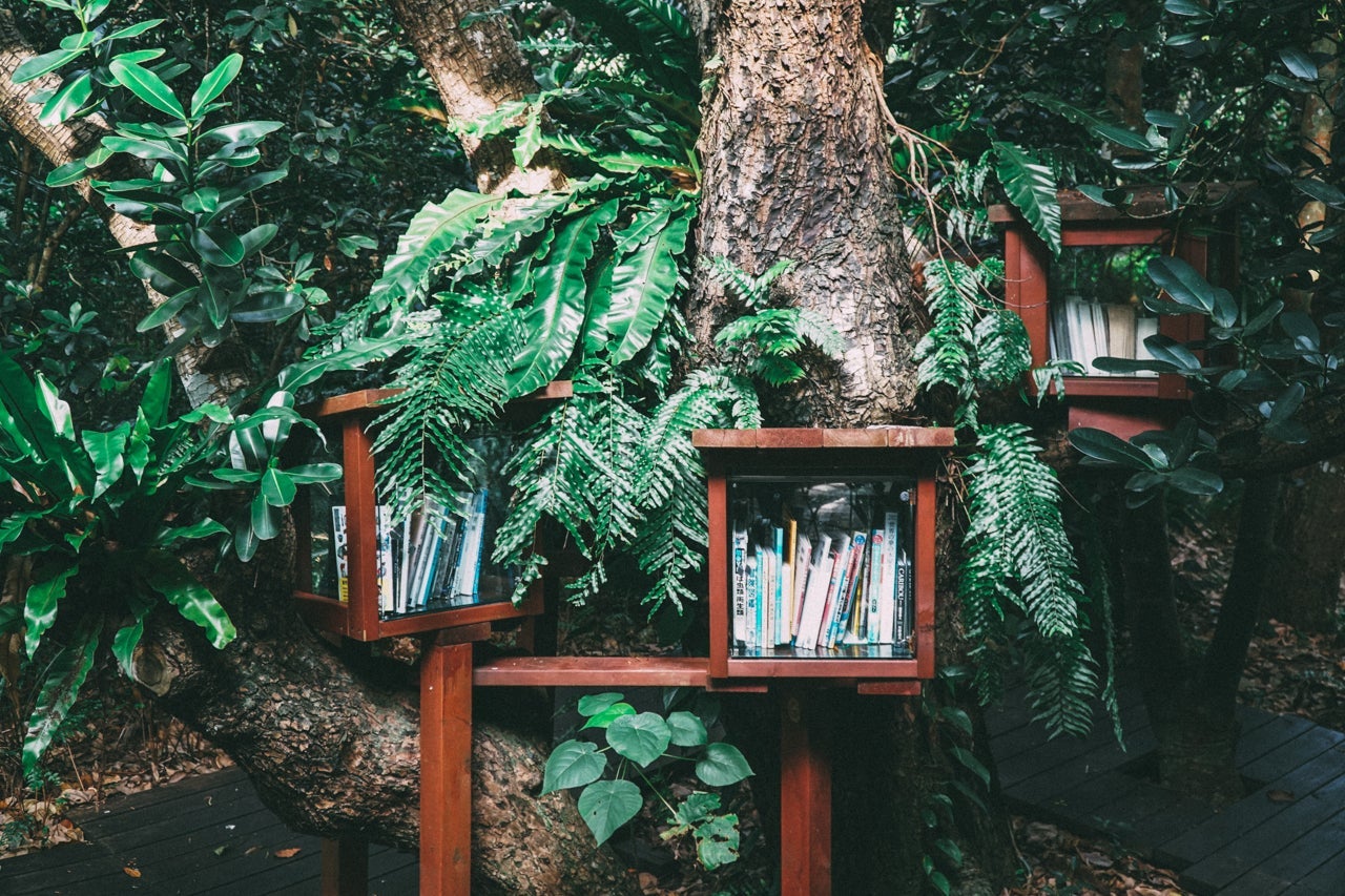 (Photo by Hitoshi Suzuki via Unsplash)