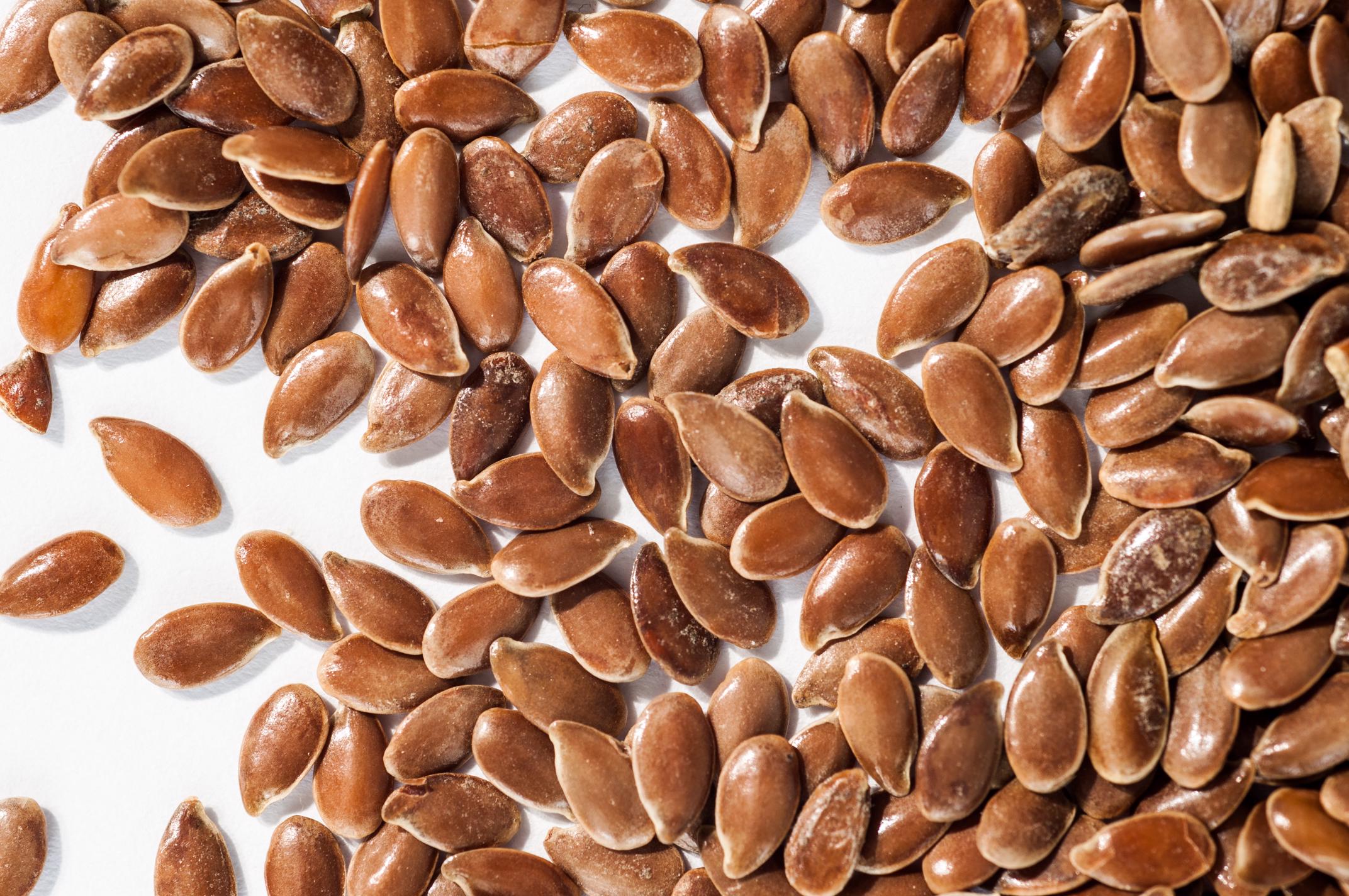 Bed bugs resemble flax seeds, but can grow to double their size. Image courtesy of Wikimedia Commons.