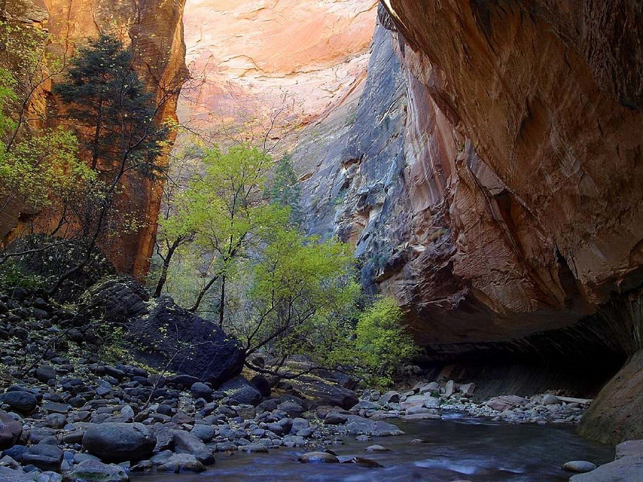 Part of the Zion Narrows trail