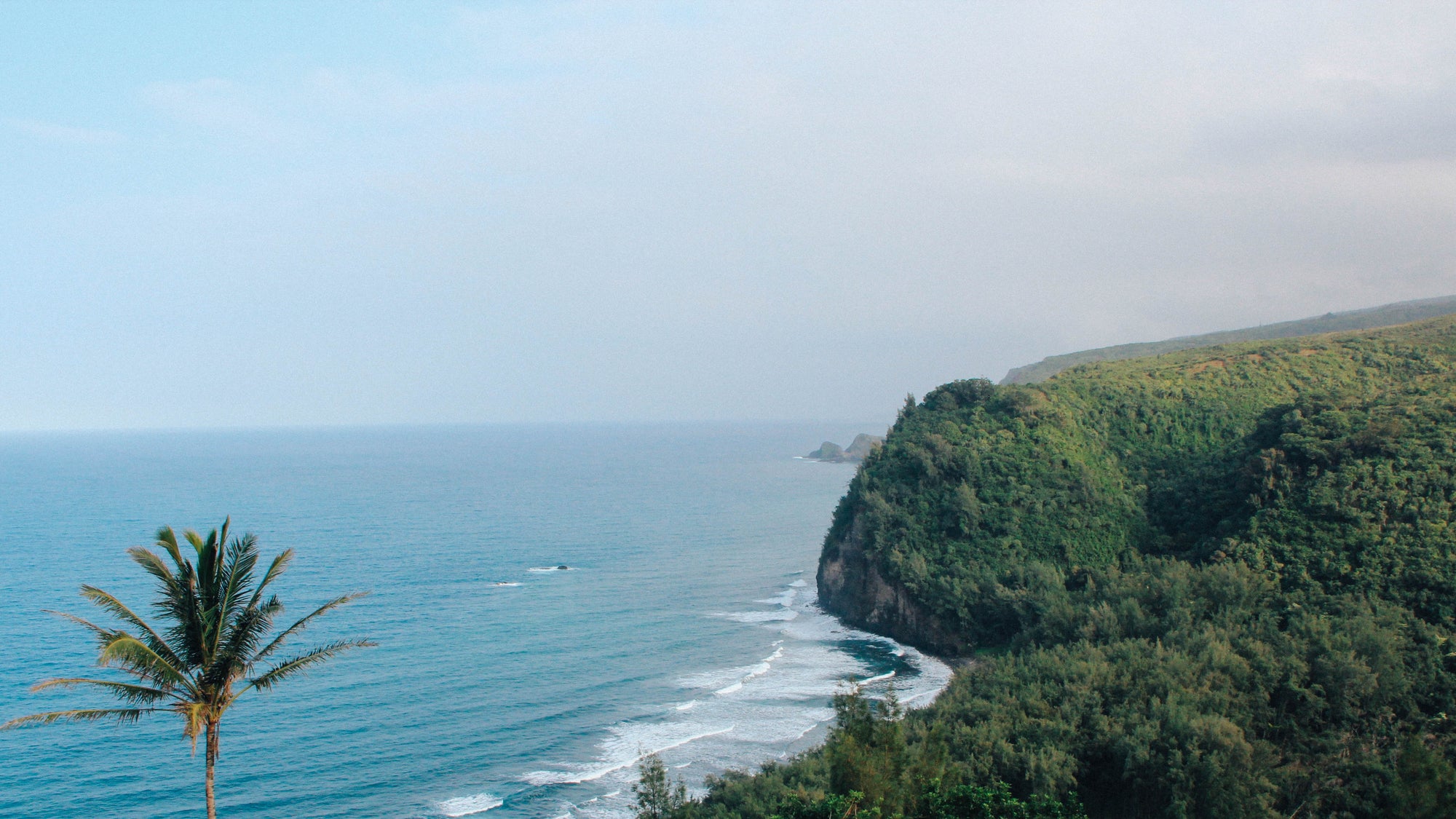 Big Island_Thottam