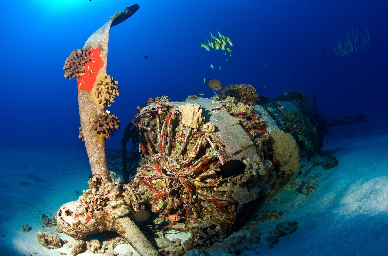 A wreckage of a WWII-era Corsair in the waters off Oahu, Hawaii. (Photo by Kevin Boutwell/Getty Images)