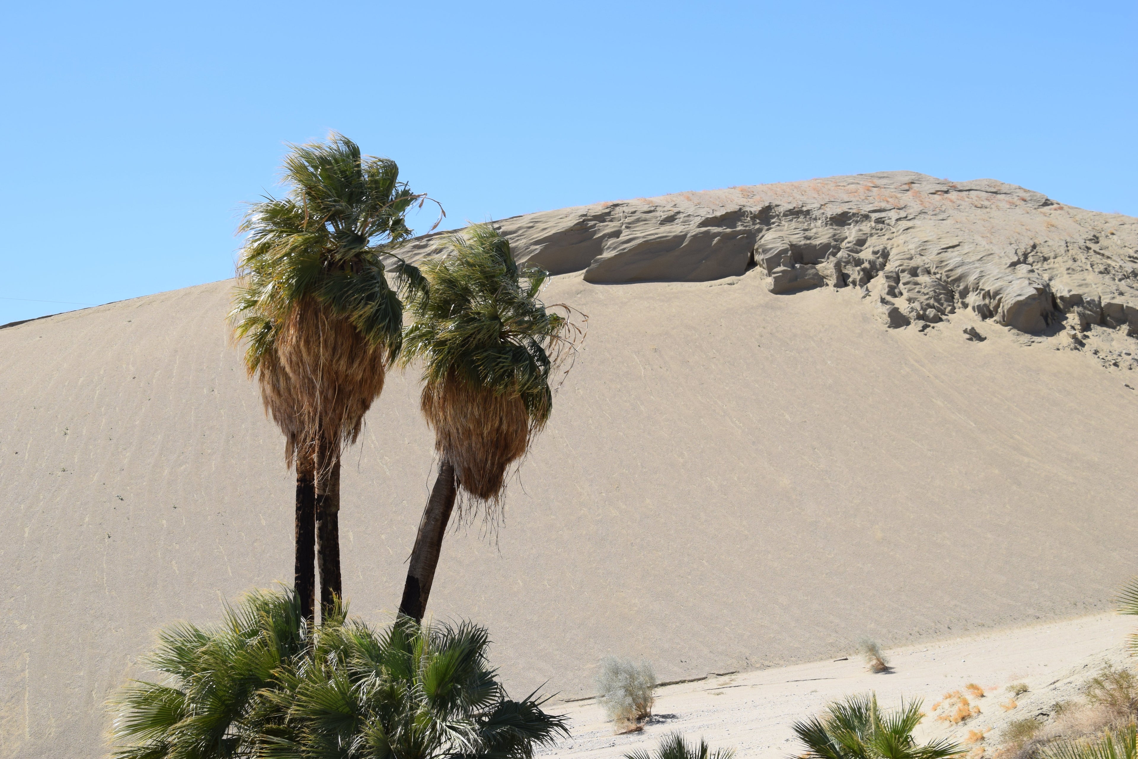 Near the San Andreas Fault, the Red Jeep Tour took us into the desolate back country - so rugged and beautiful.