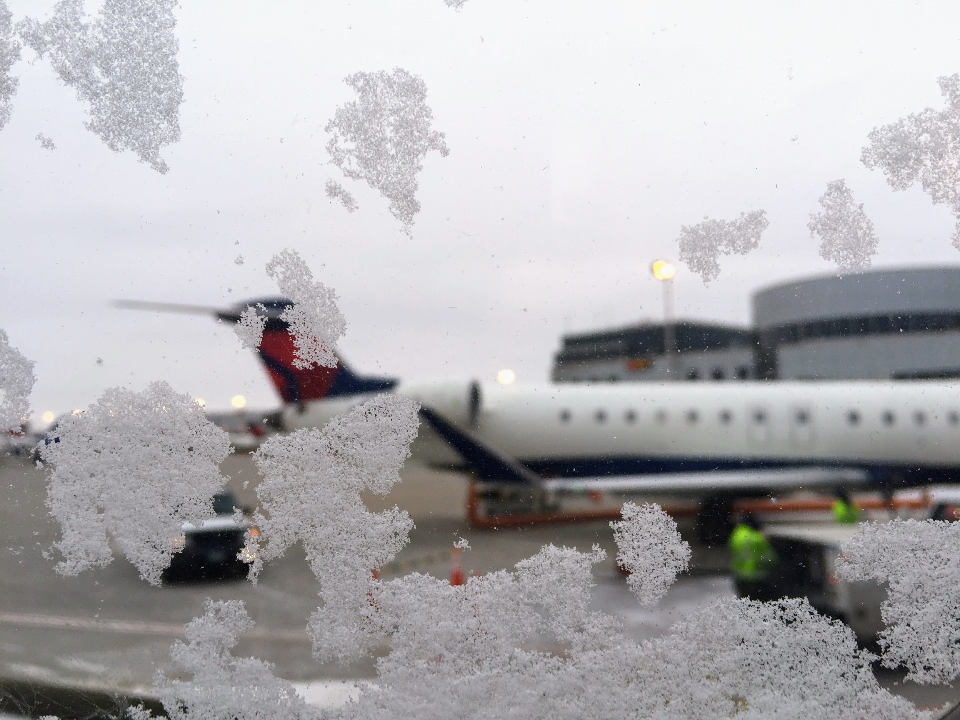 delta winter