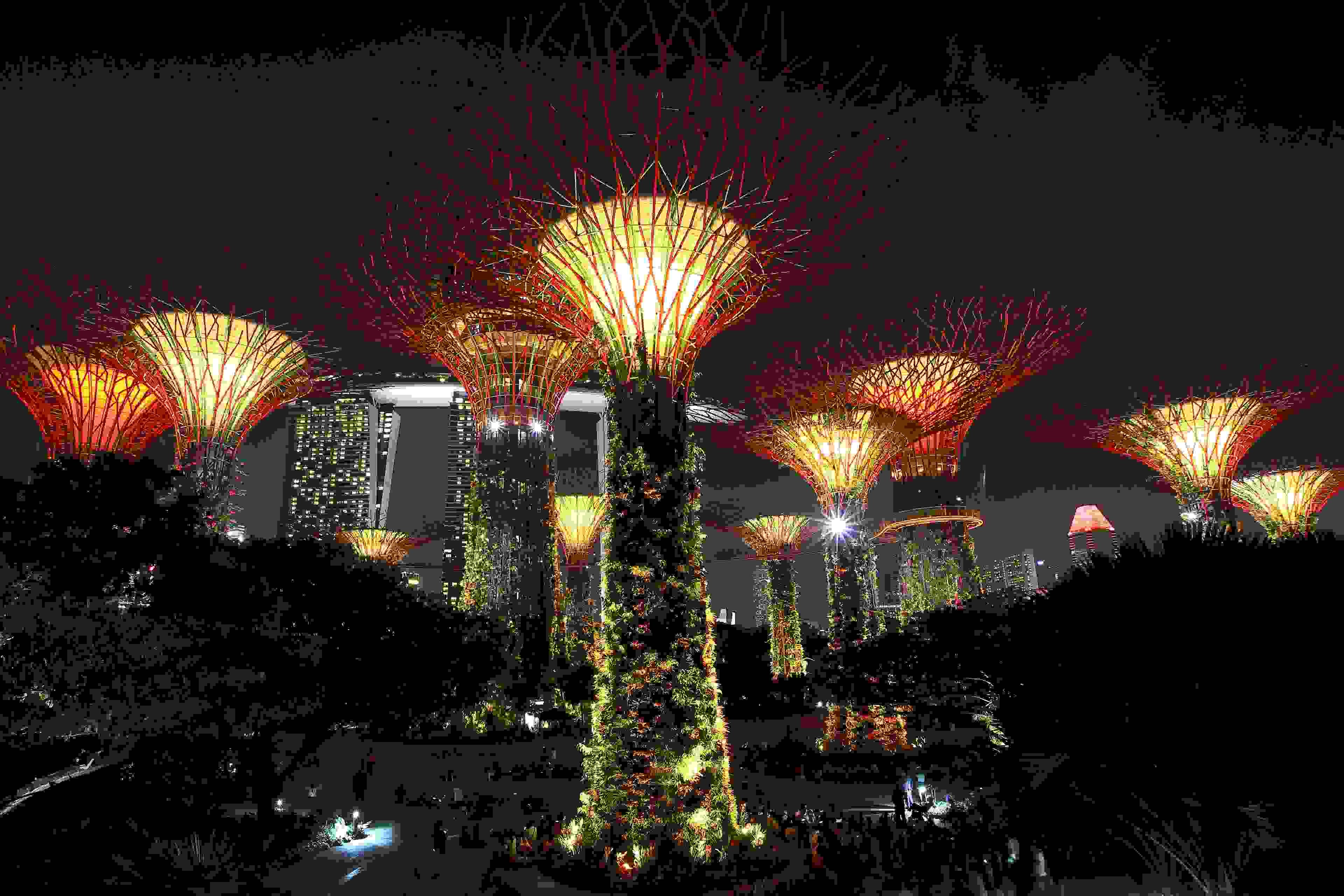 SINGAPORE - AUGUST 09: The Marina Bay Sands and the Supertrees at the Gardens By The Bay are illuminated at night on August 9, 2016 in Singapore. (Photo by Suhaimi Abdullah/Getty Images)