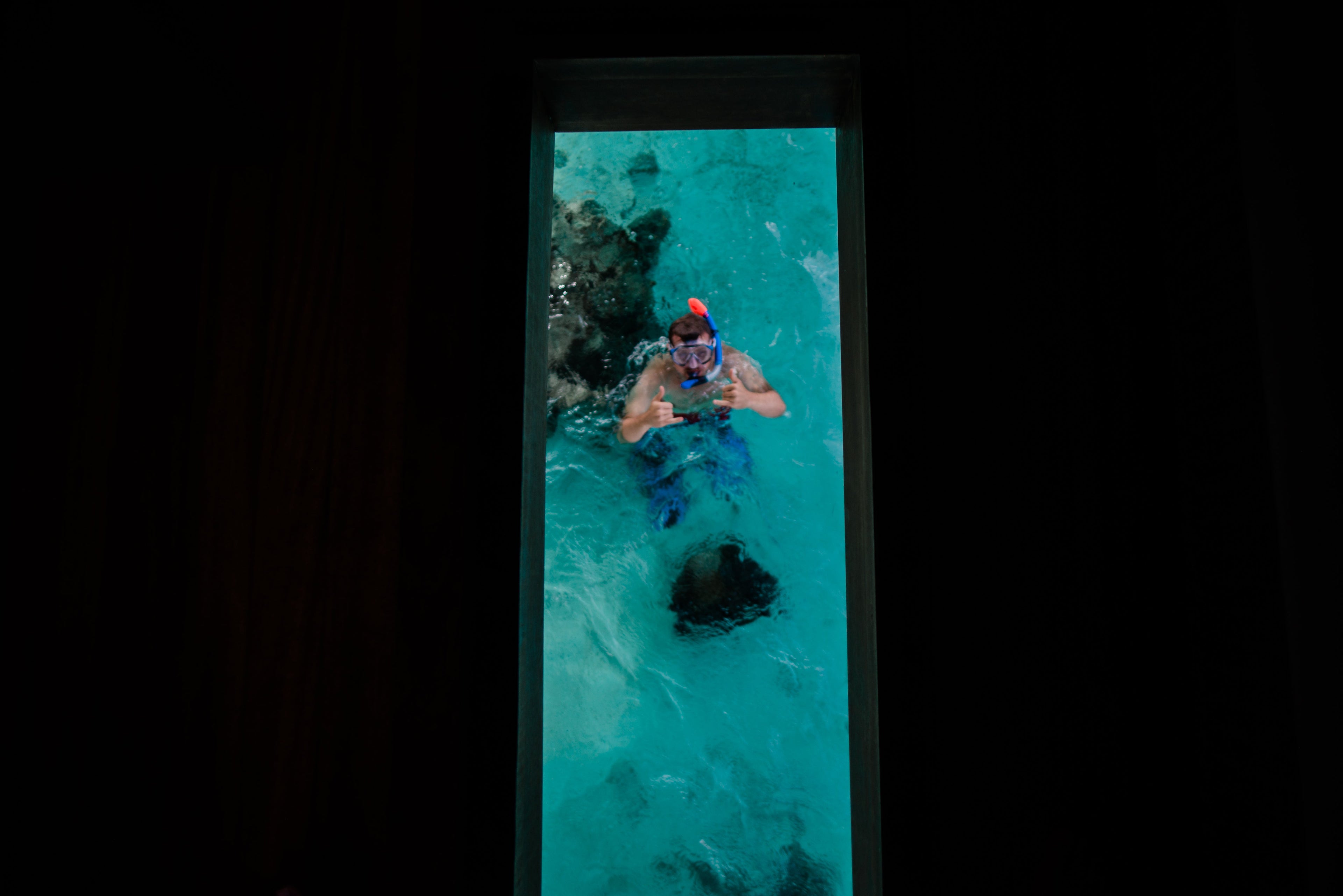 Hilton Moorea Lagoon Resort and Spa - swimming under bungalow