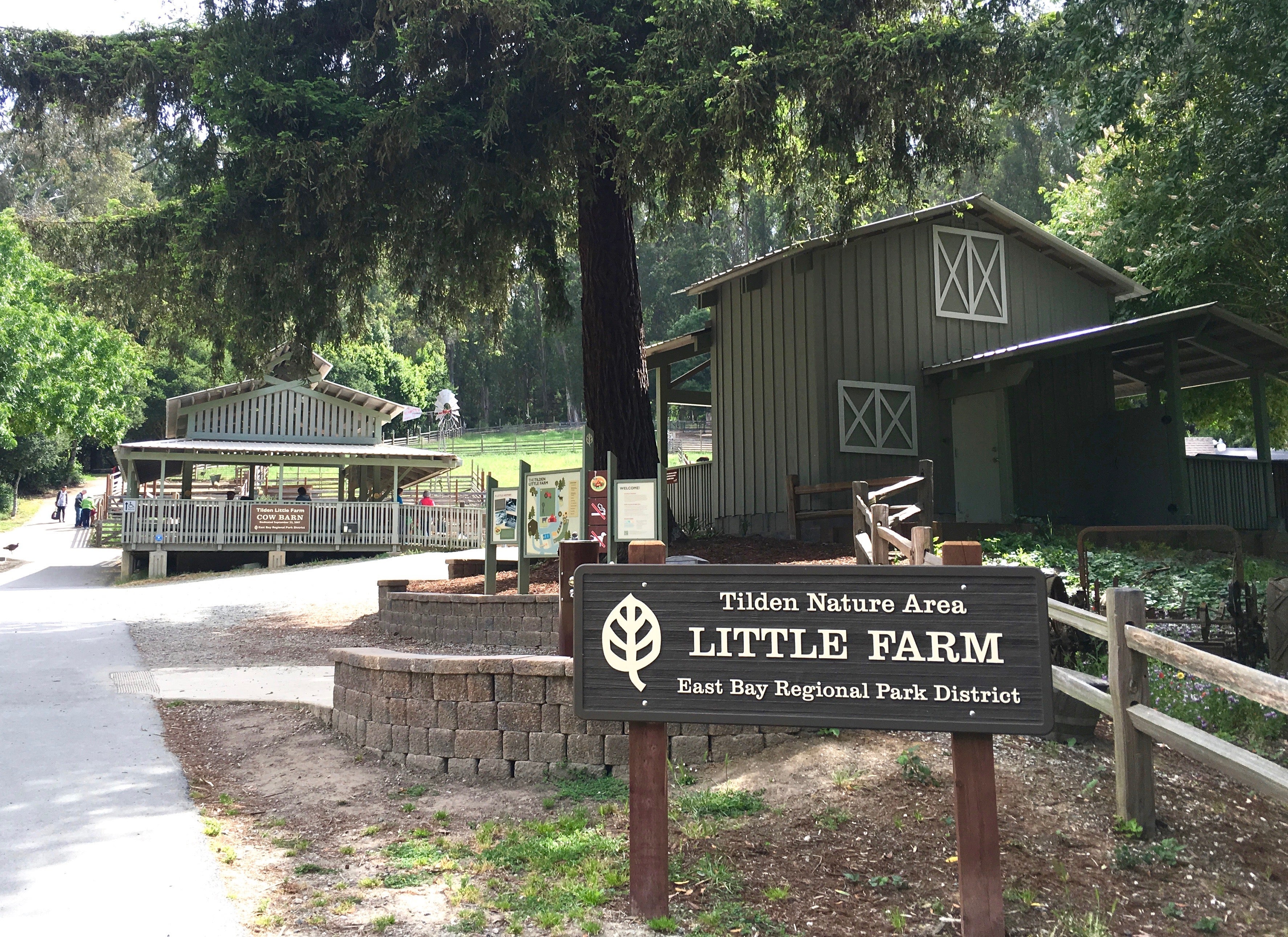 Little Farm in Tilden Park, Berkeley