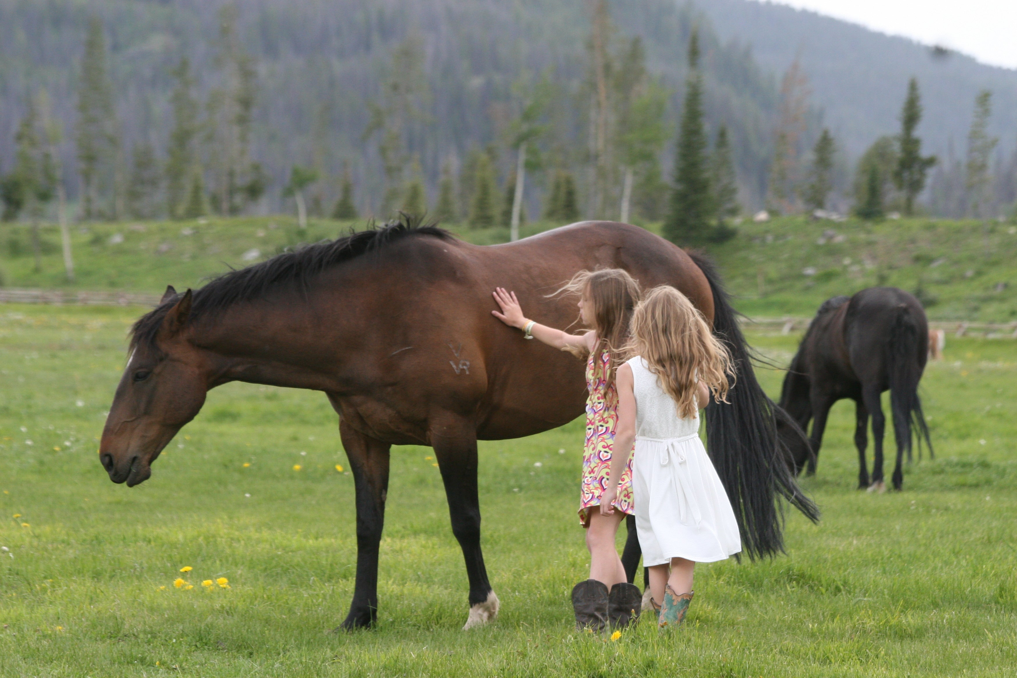 Girls with horses at Vista Verde Ranch in Colorado