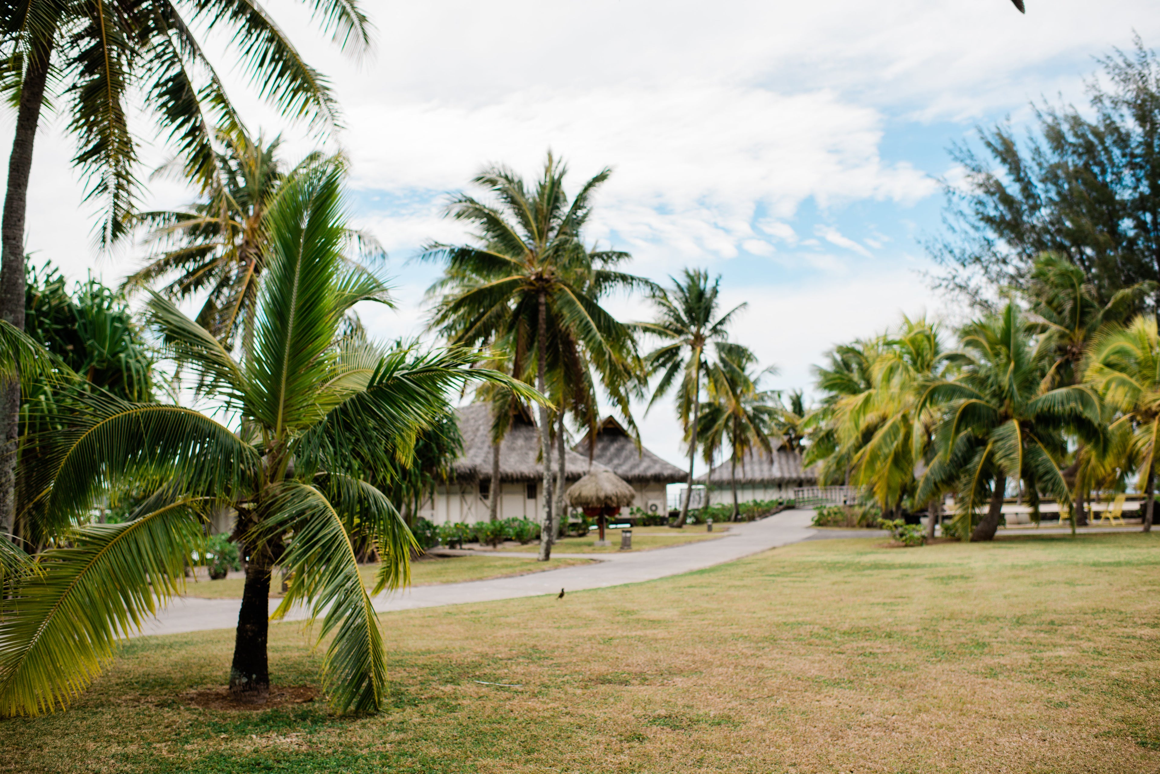 InterContinental Resort and Spa Moorea - grounds