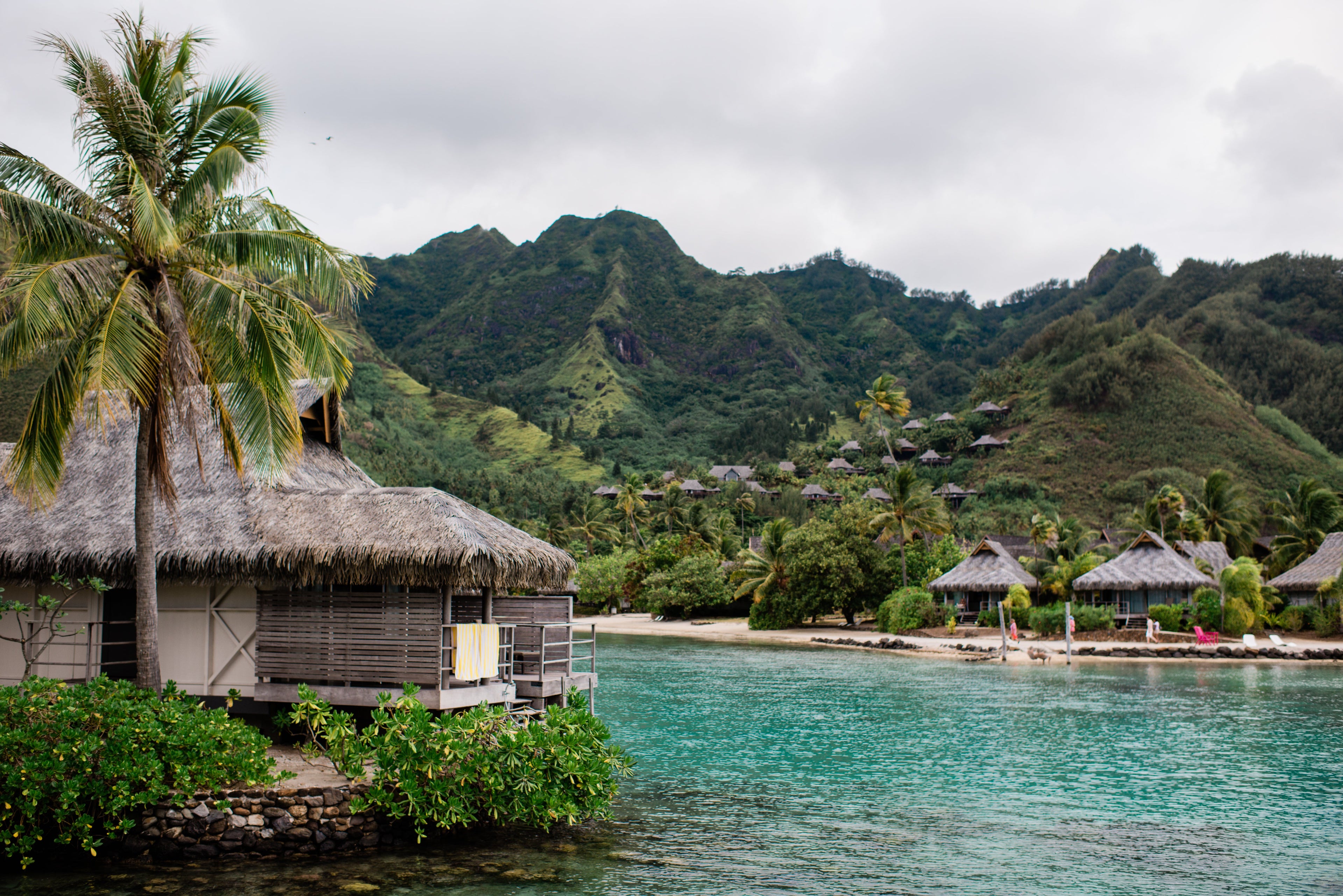 InterContinental Resort and Spa Moorea - jungle backdrop