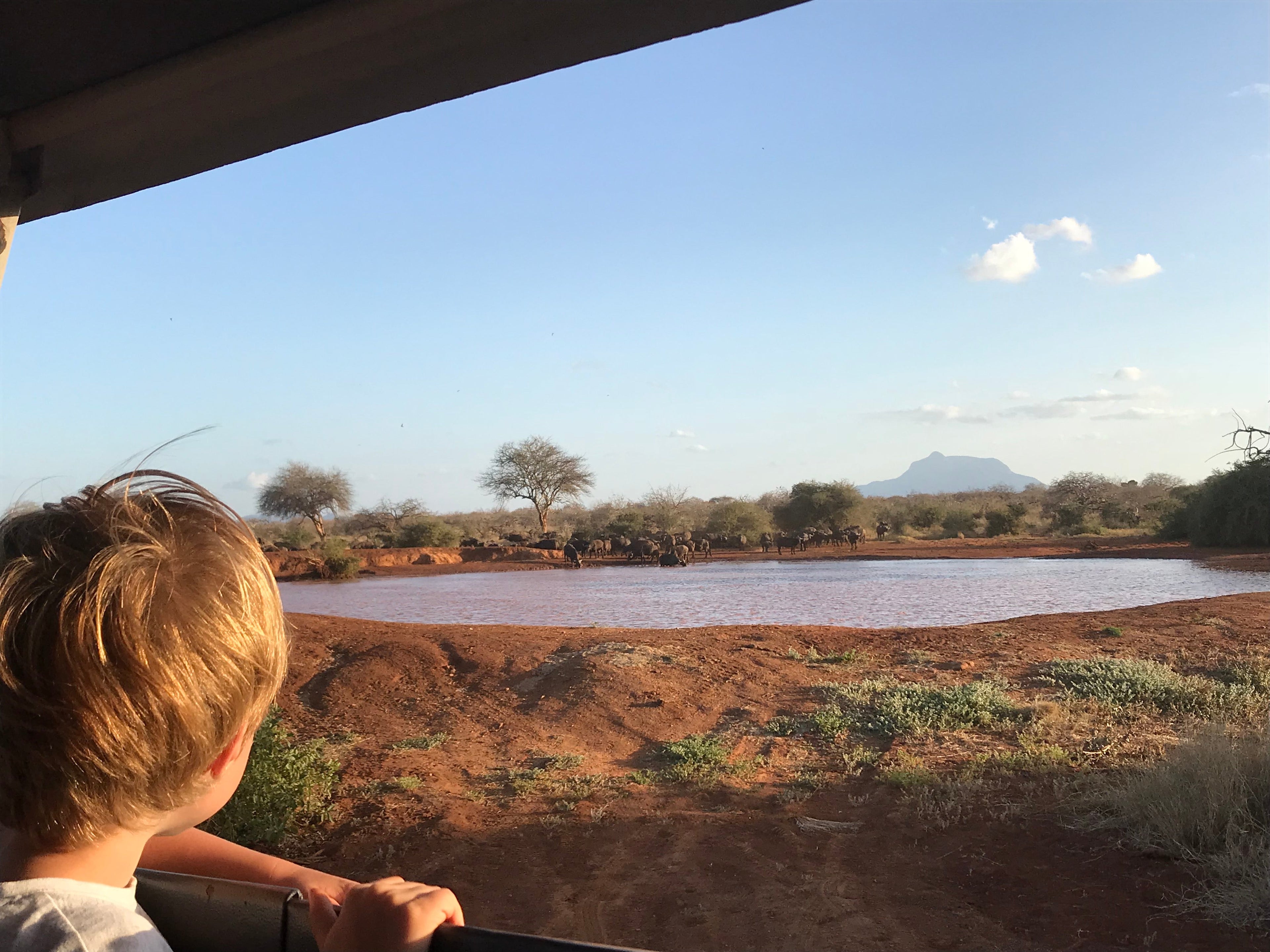 kenyan safari