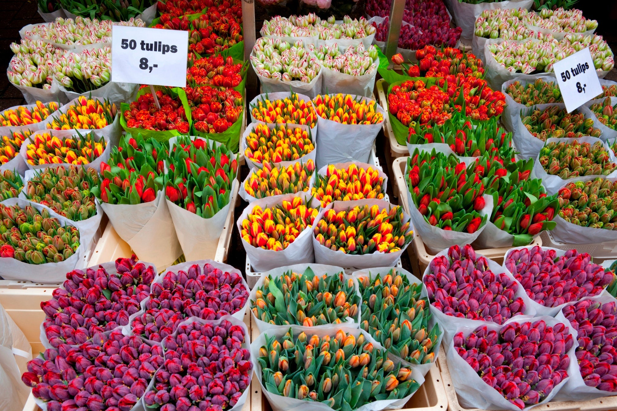 Amsterdam flower market
