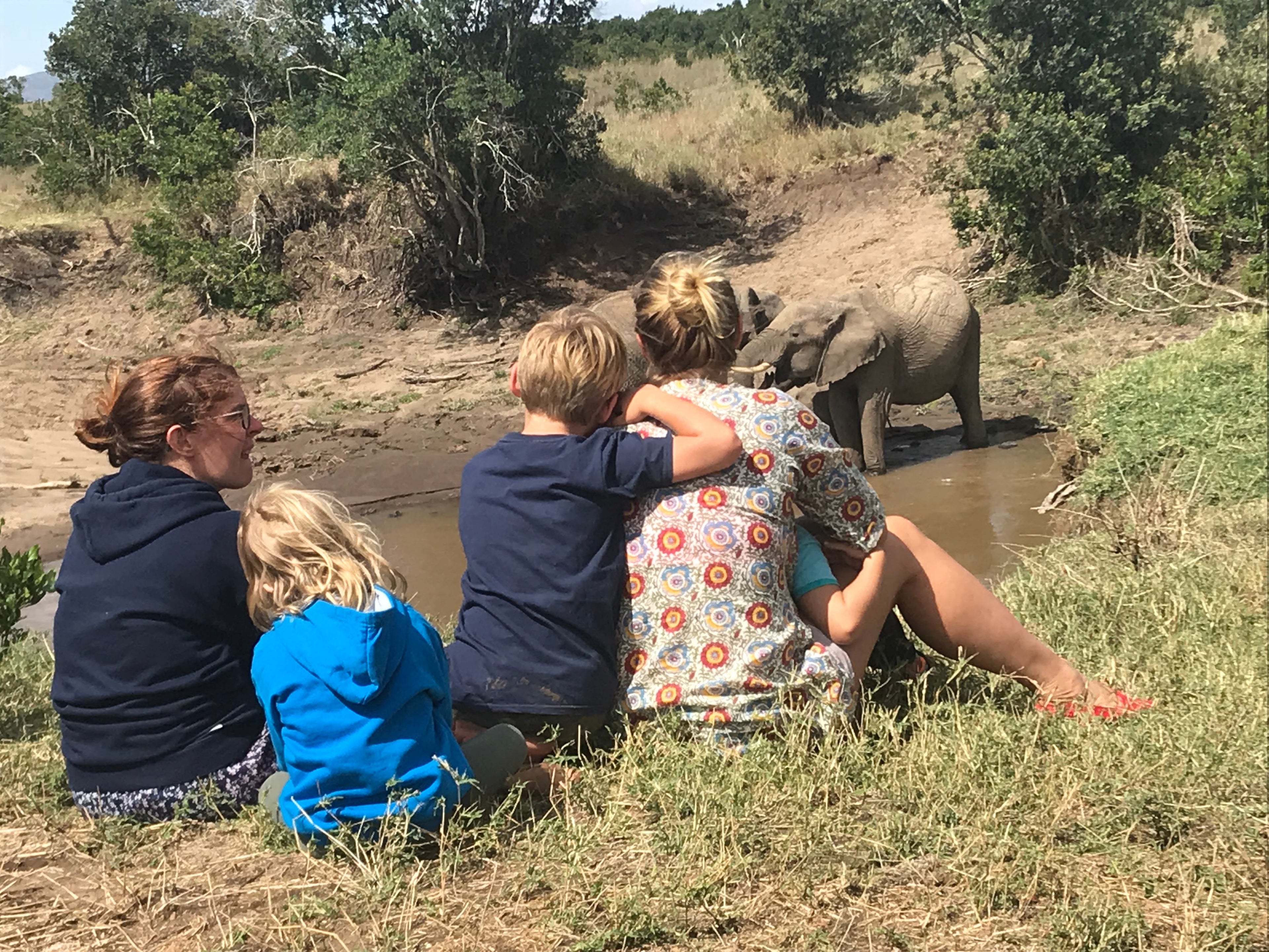 kenyan safari