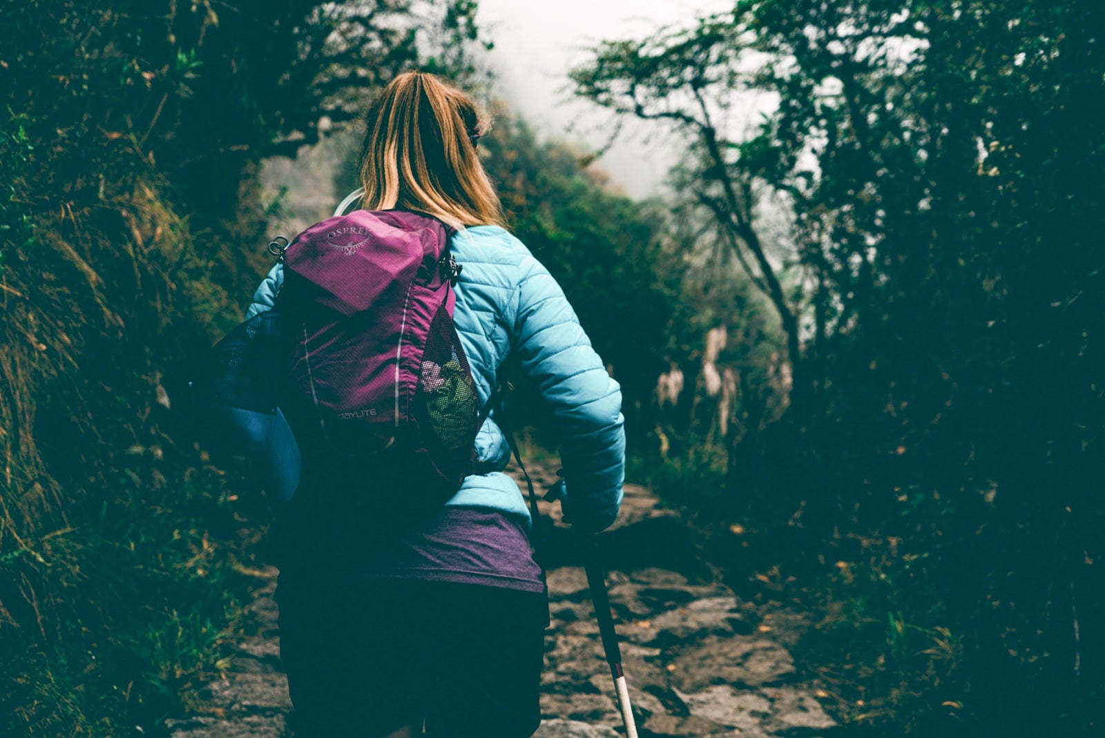 Osprey packs are well-known to be durable, solid options for backpacking trips. (Photo by Kal Loftus via Unsplash)