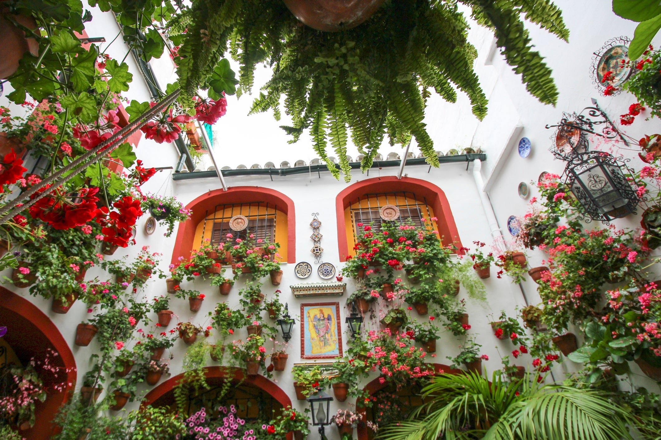 The Patios Festival is celebrated during the second and third week of May. Many houses of the historic centre open their private patios to the public and compete in a contest. Both the architectonic value and the floral decorations are taken into consideration to choose the winners. Cordoba, Andalusia, Spain