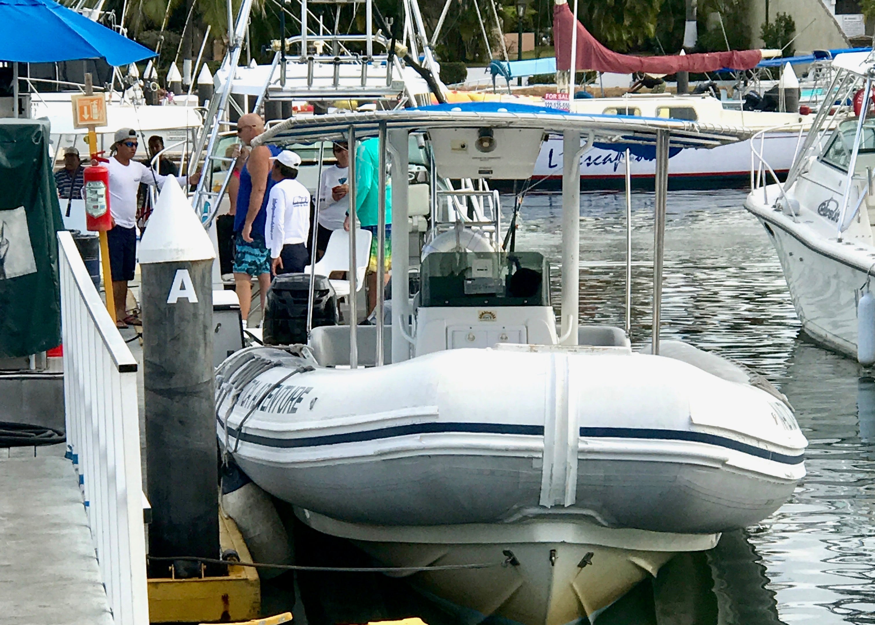 Wildlife Connection dolphin tour in Puerto Vallarta