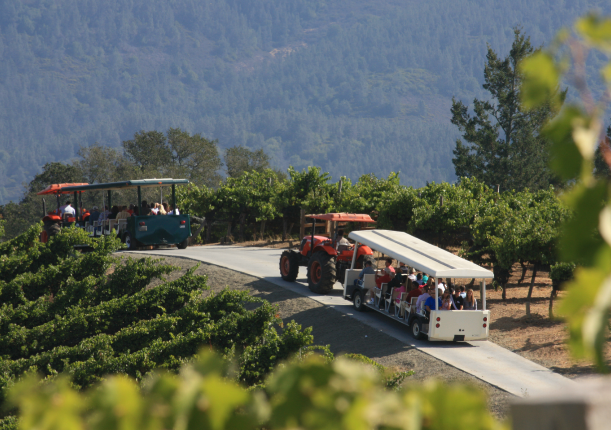 Courtesy of Benziger Family Winery