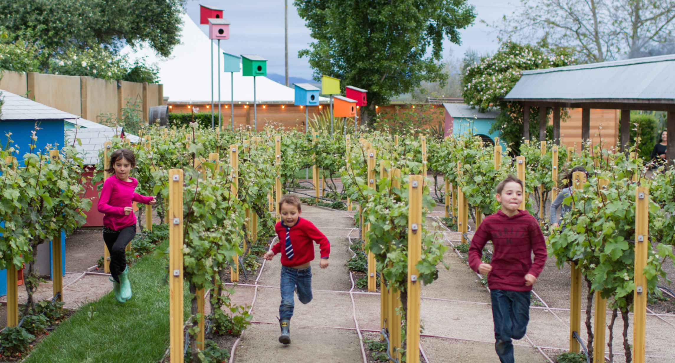 Children's Garden at Cornerstone, courtesy of Cornerstone Sonoma