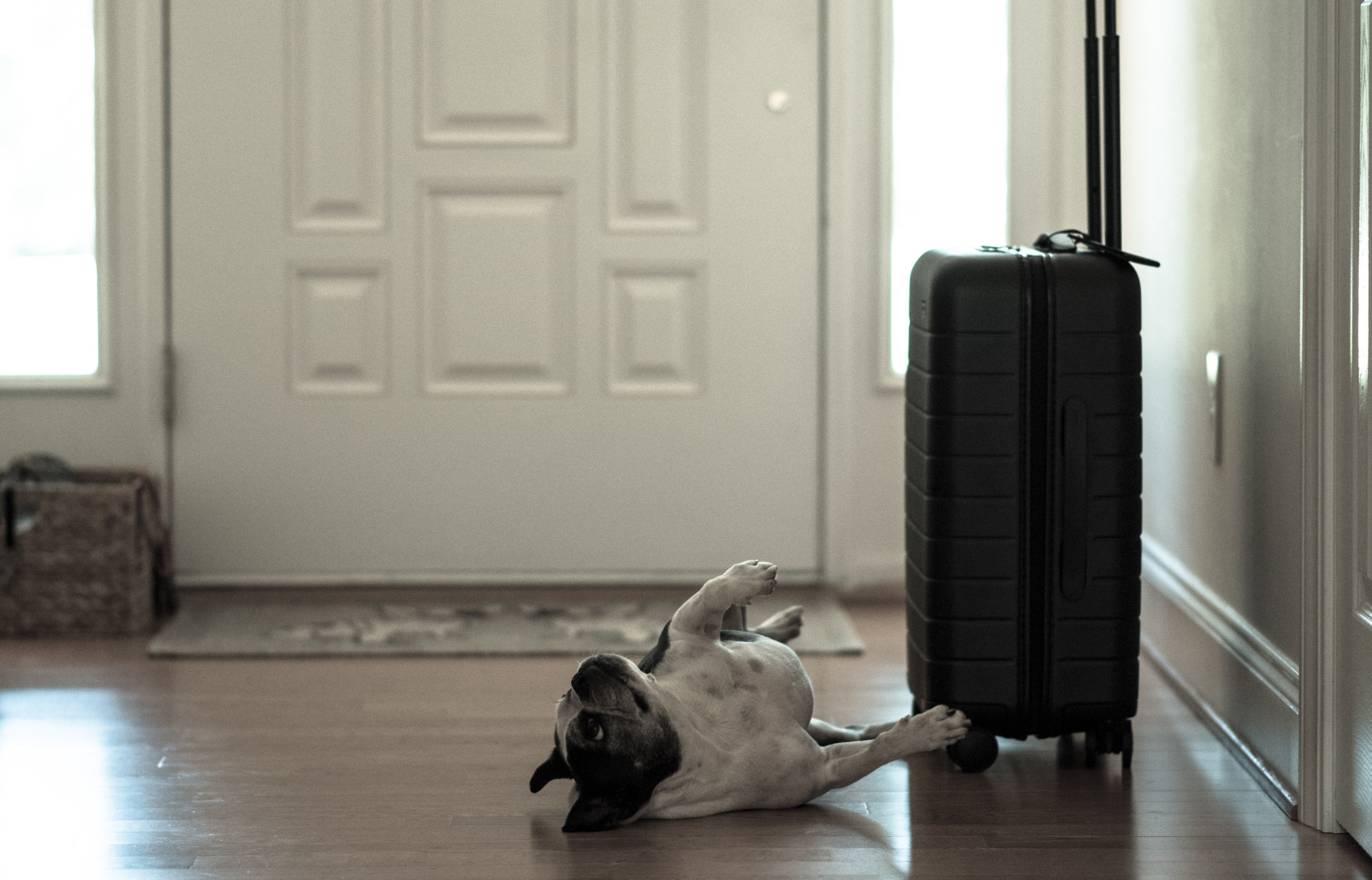 Can I come, pretty please?