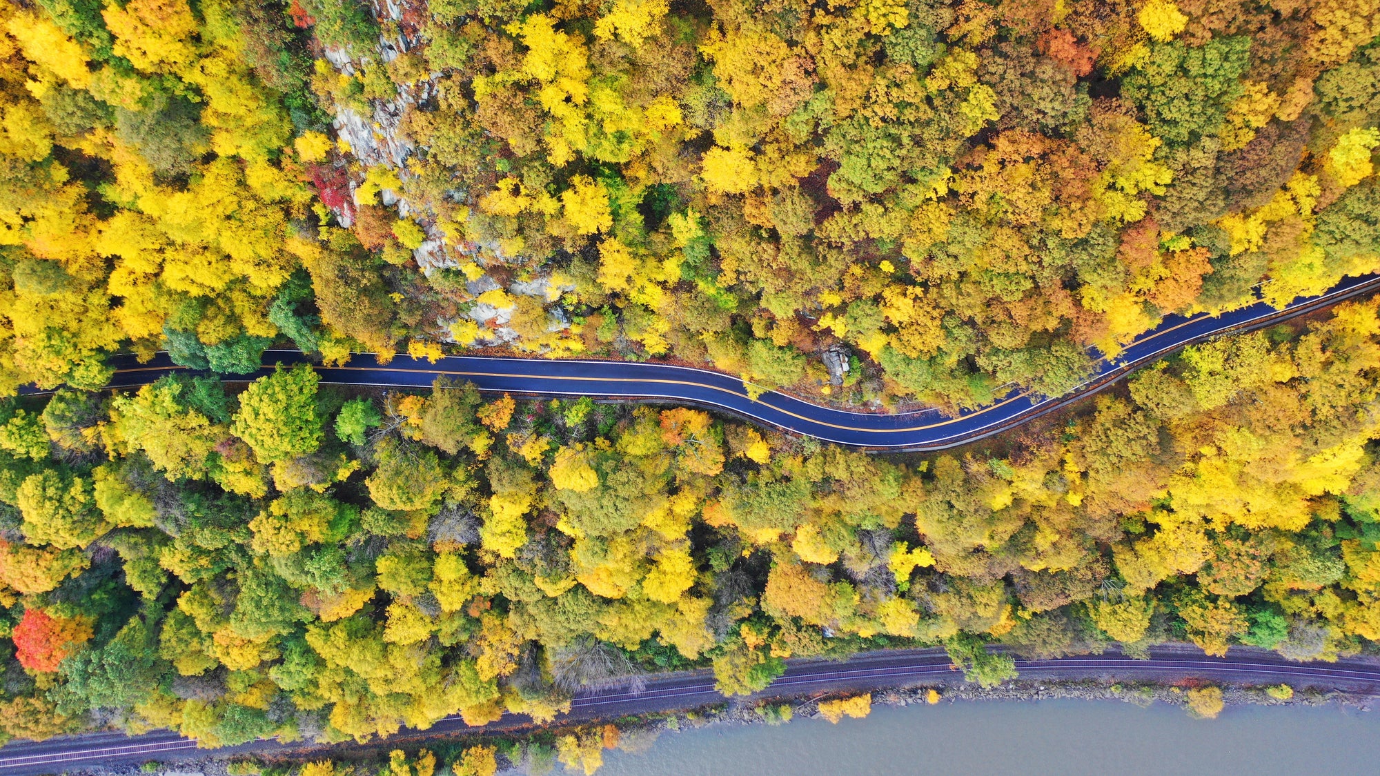 jeffrey-blum-1123173-unsplash
