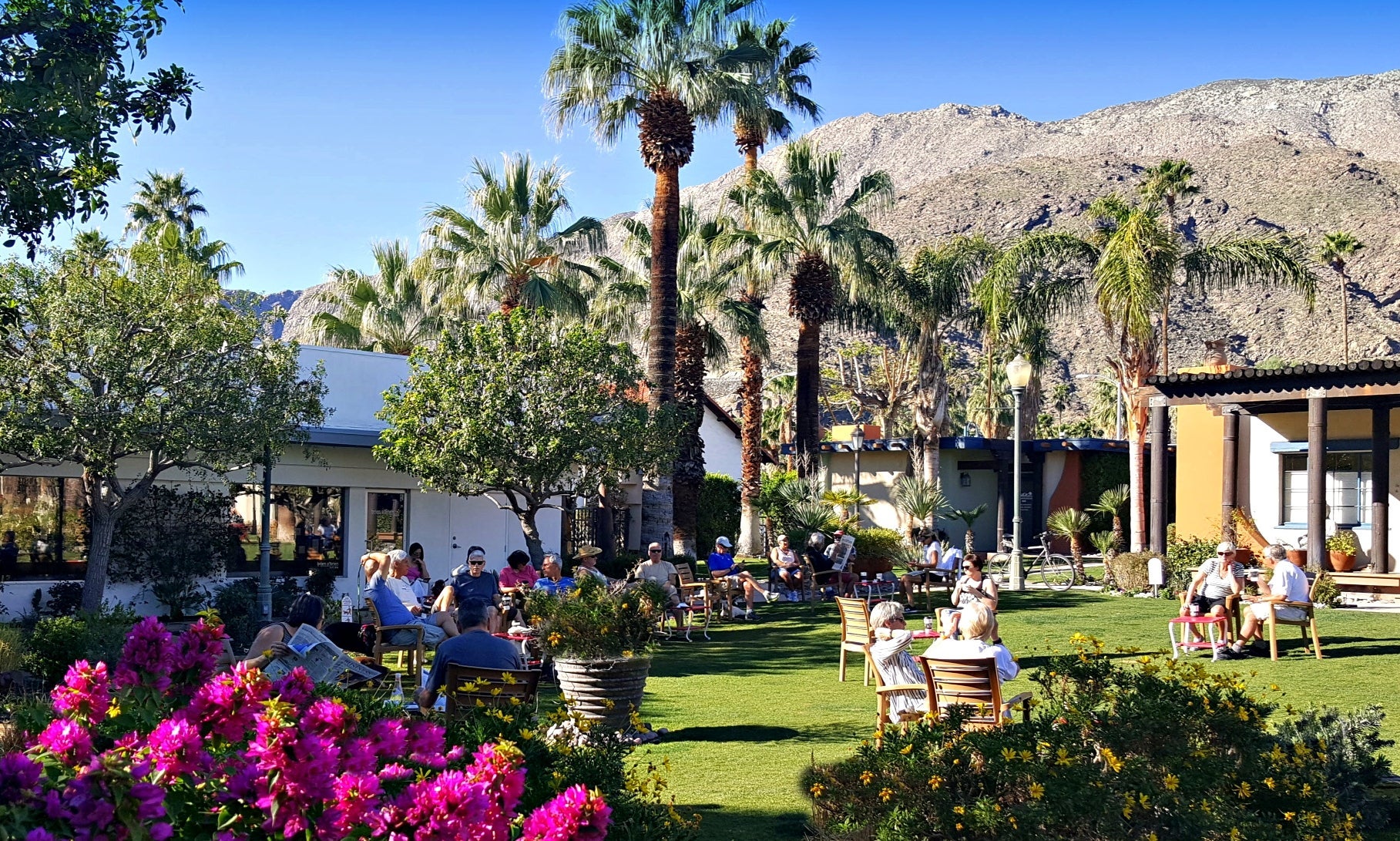Koffi Palm Springs garden courtyard