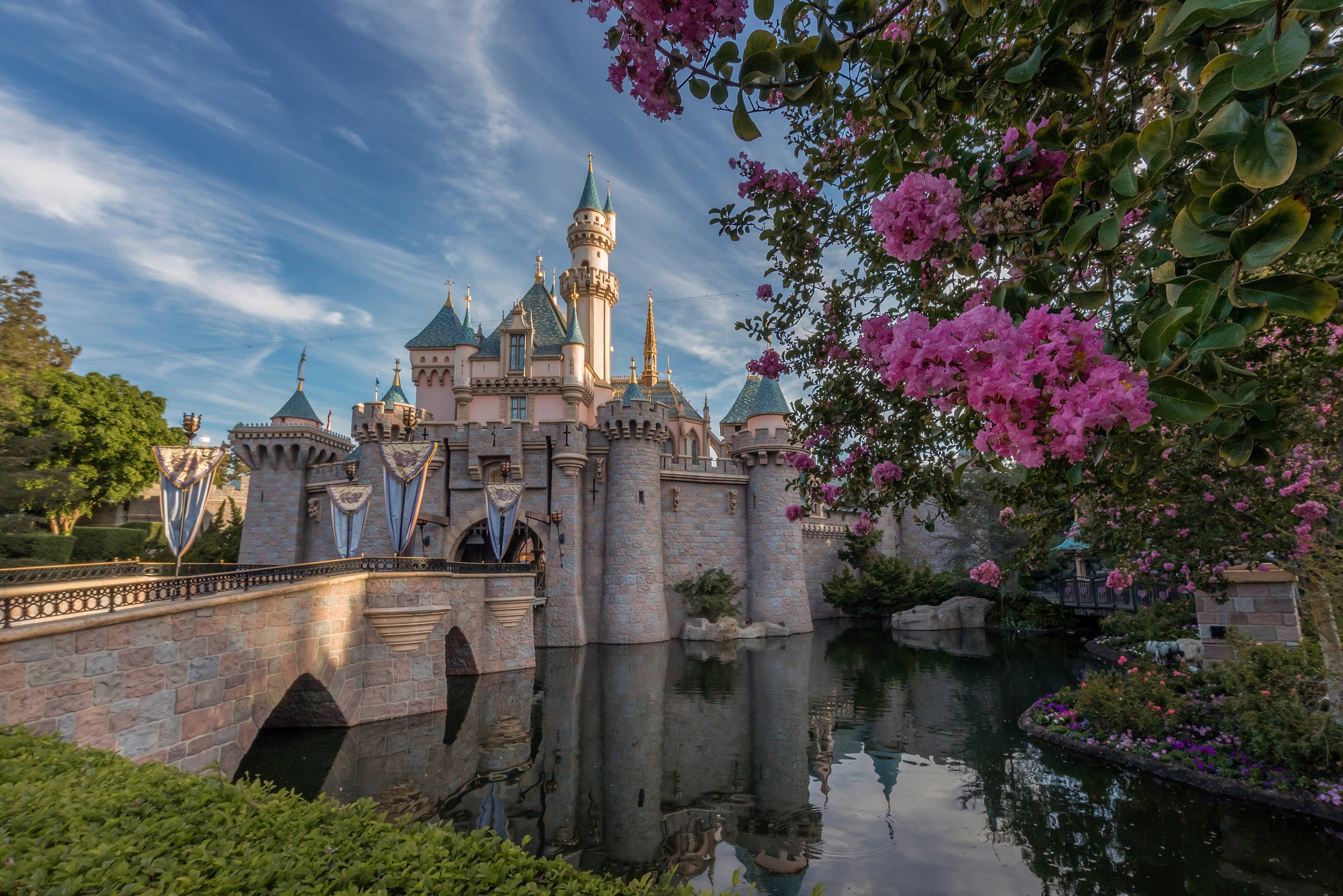 Photo credit: Joshua Sudock/Disneyland Resort