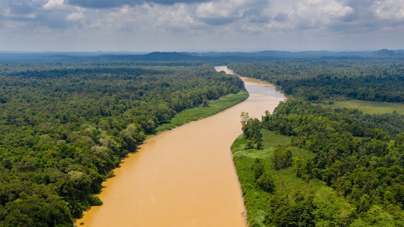 Feature_Kinabatangan River_shutterstock_1219290454
