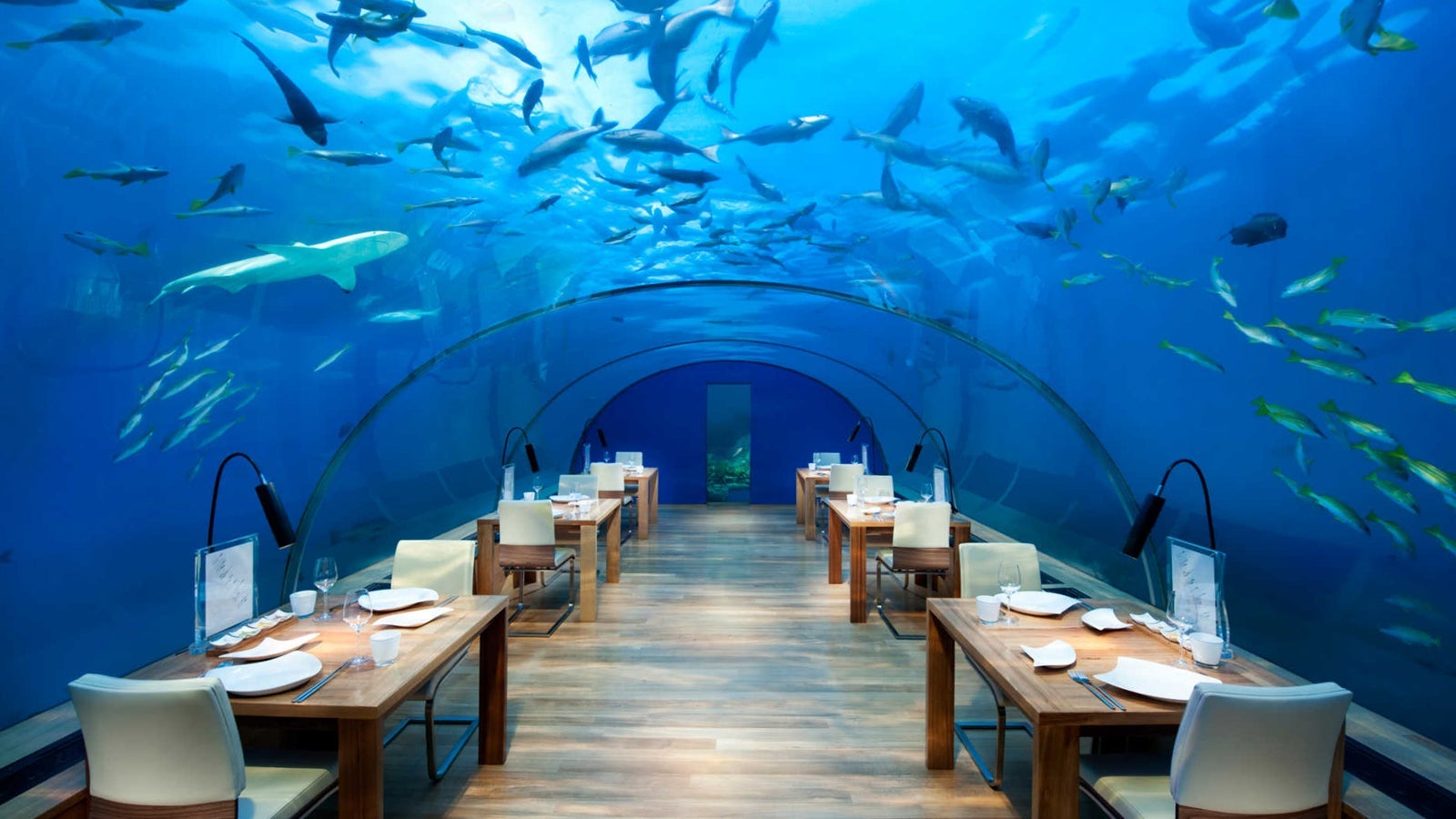 (Photo courtesy of Muraka Conrad Maldives)