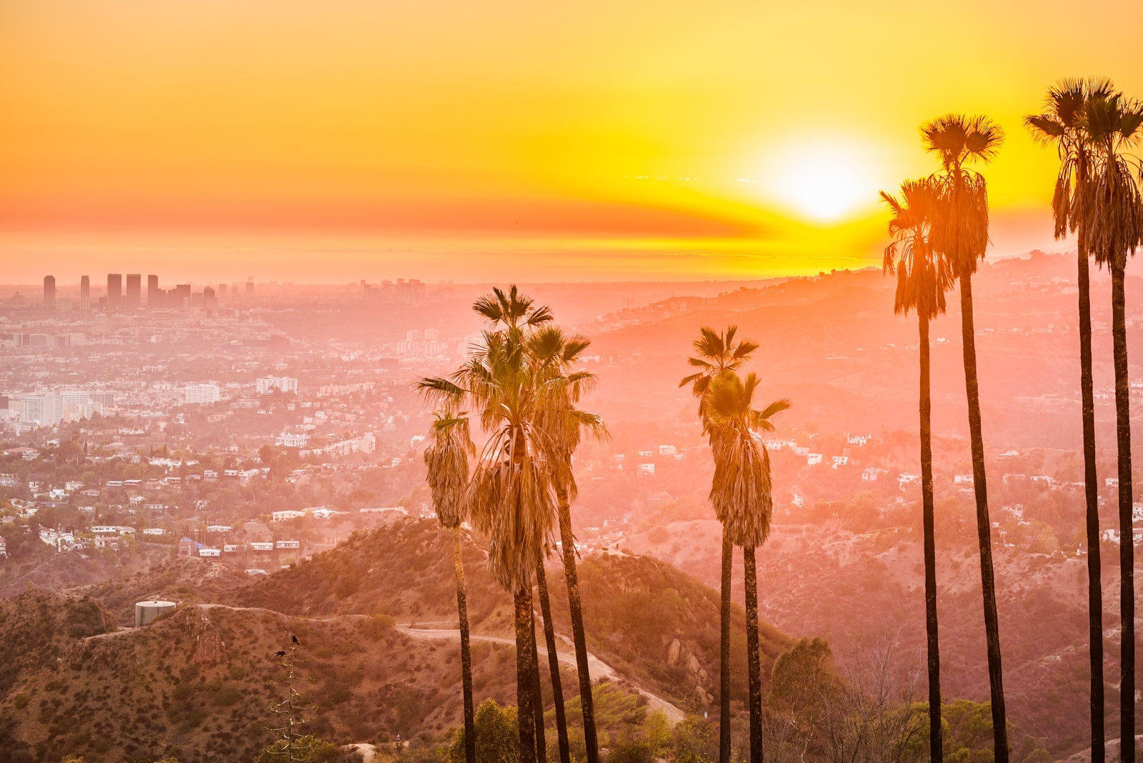 Griffith Park. (Photo via Shutterstock)