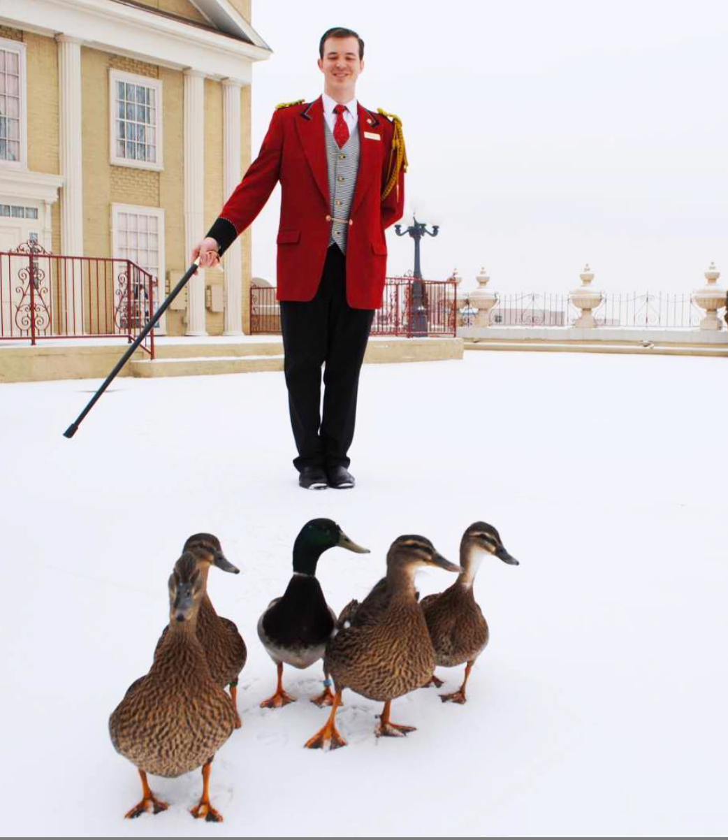 The Peabody Hotel's famous Duck March takes place daily in Memphis. (Instagram)
